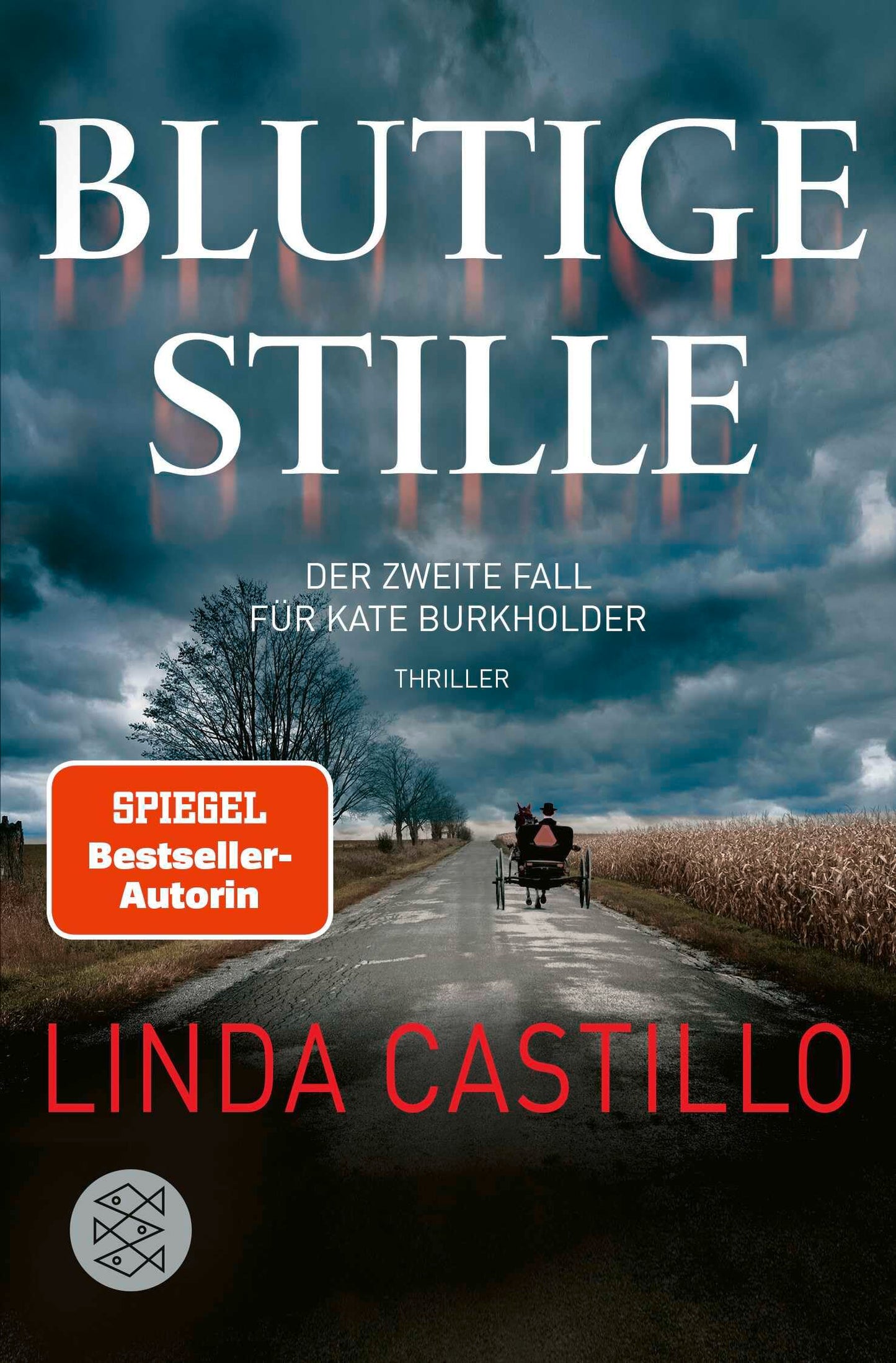Blutige Stille: Thriller | Spannender Thriller bei den Amischen (Kate Burkholder ermittelt, Band 2)