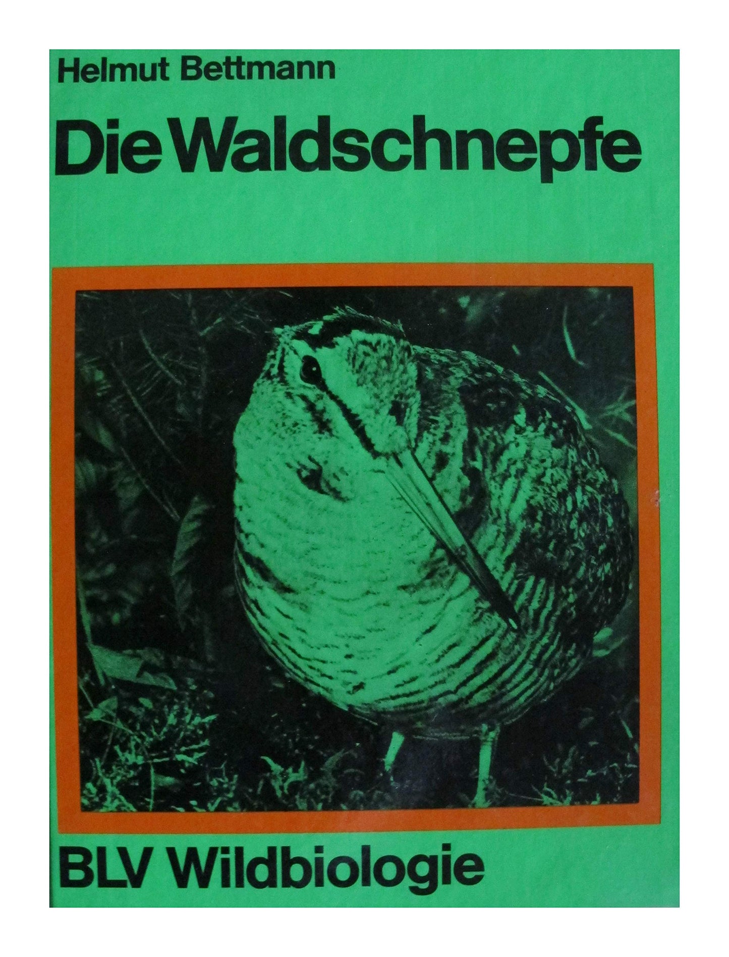 Die Waldschnepfe. ( BLV Wildbiologie.)