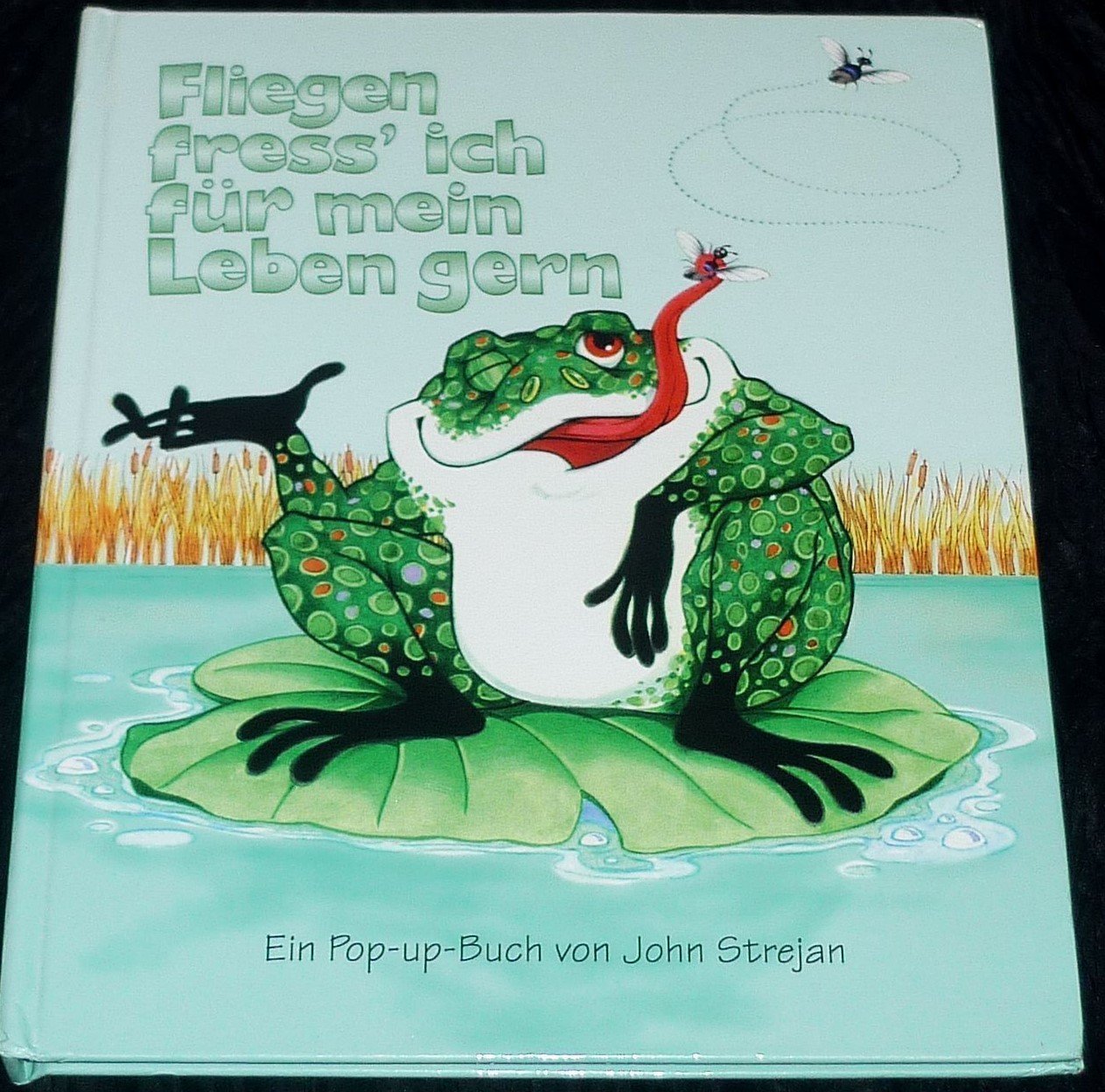 Fliegen fress ich für mein Leben gern. Pop-up Buch