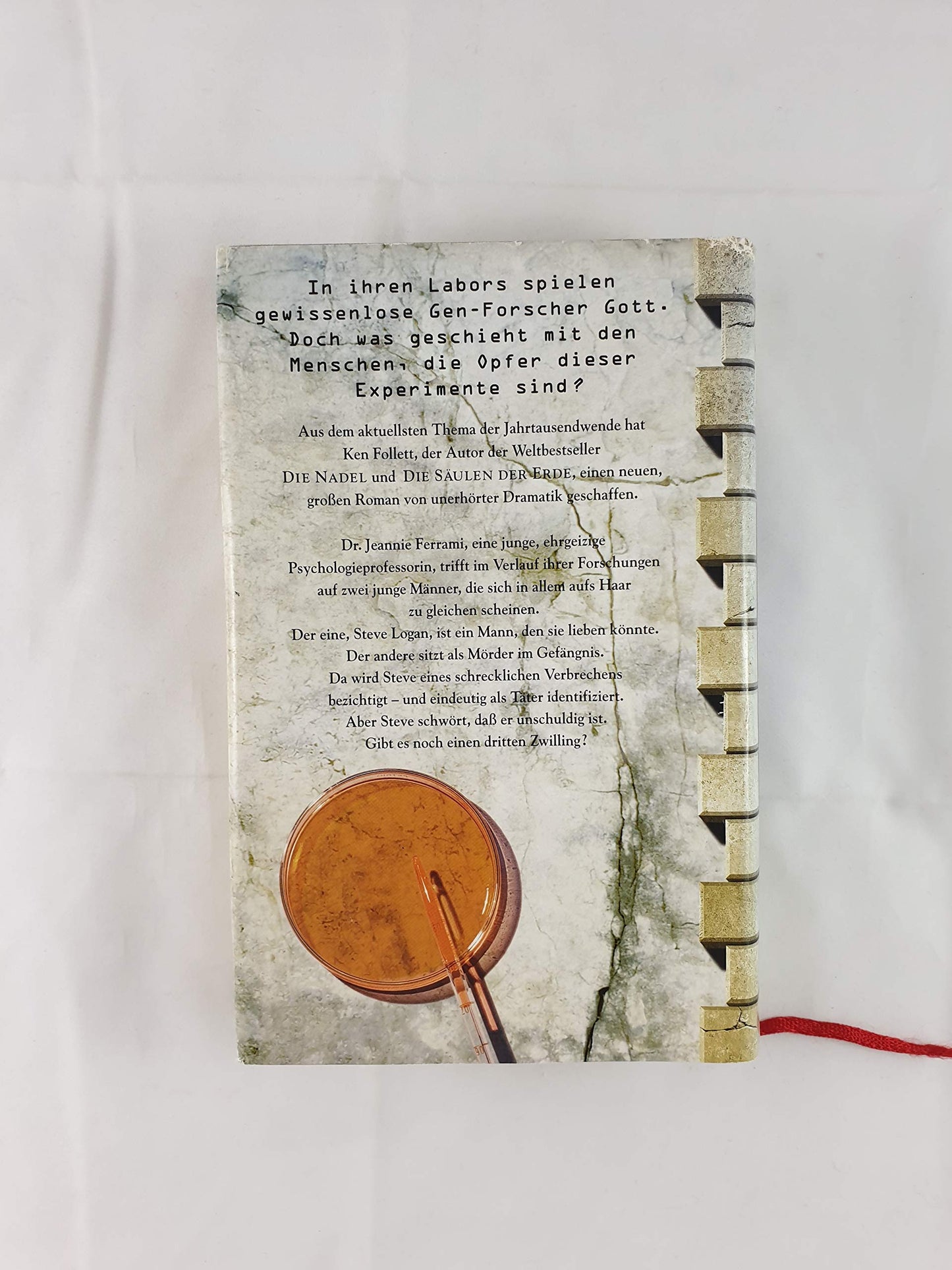 Der dritte Zwilling: Roman (Lübbe Belletristik)