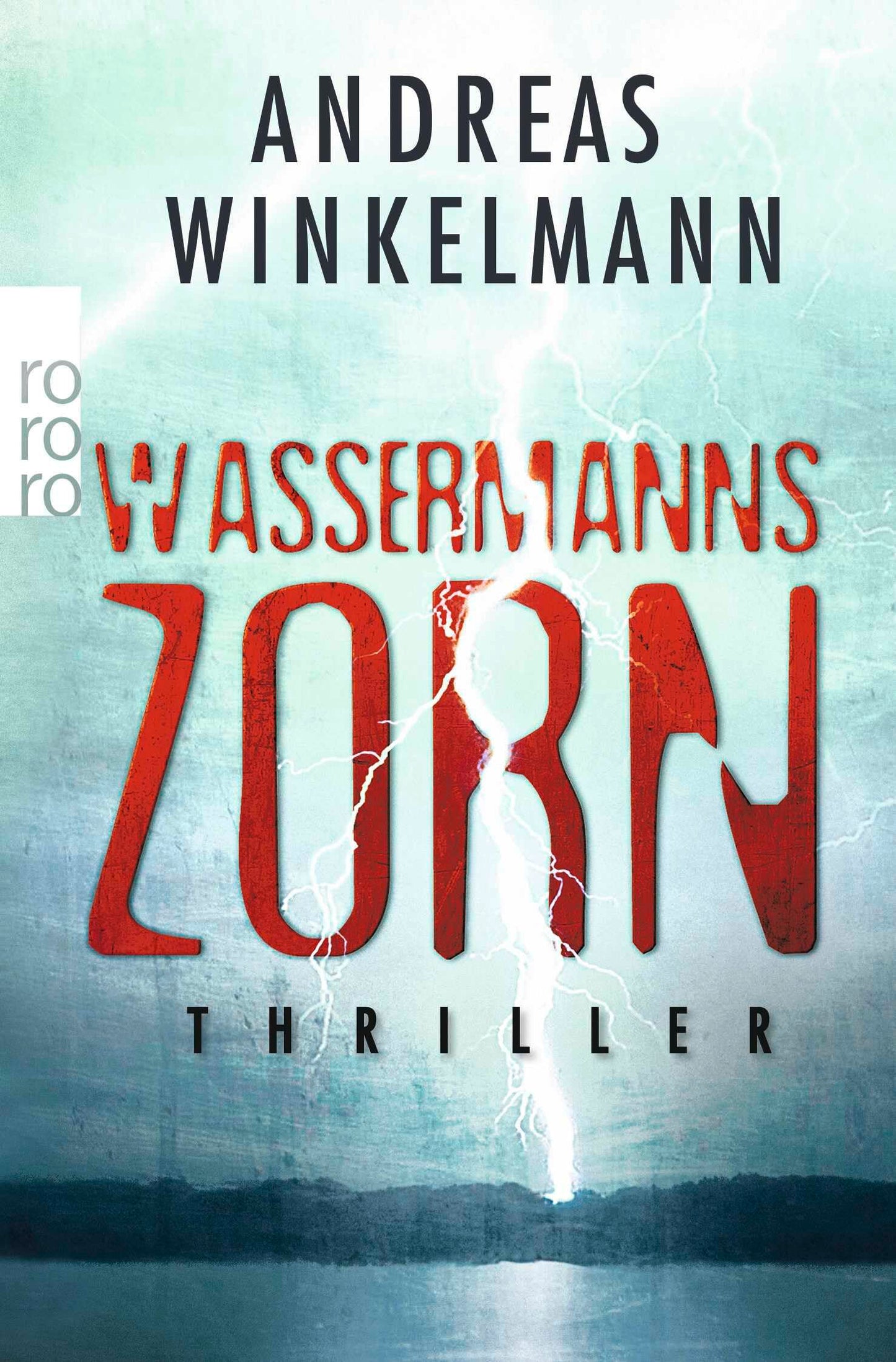 Wassermanns Zorn: Thriller