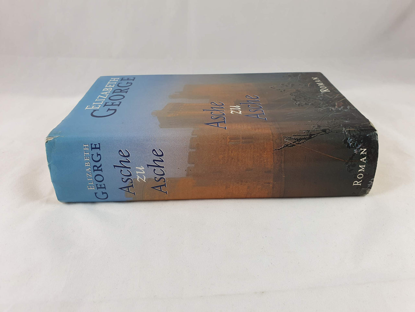 George, Elizabeth: Asche zu Asche: Roman