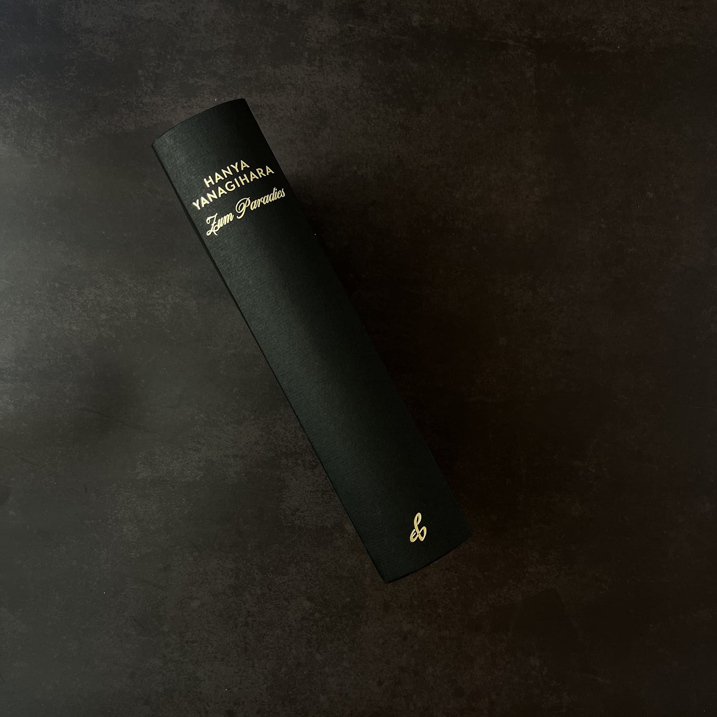 Zum Paradies: Der Nummer 1 Bestseller aus UK & USA von der Autorin von "Ein wenig Leben"