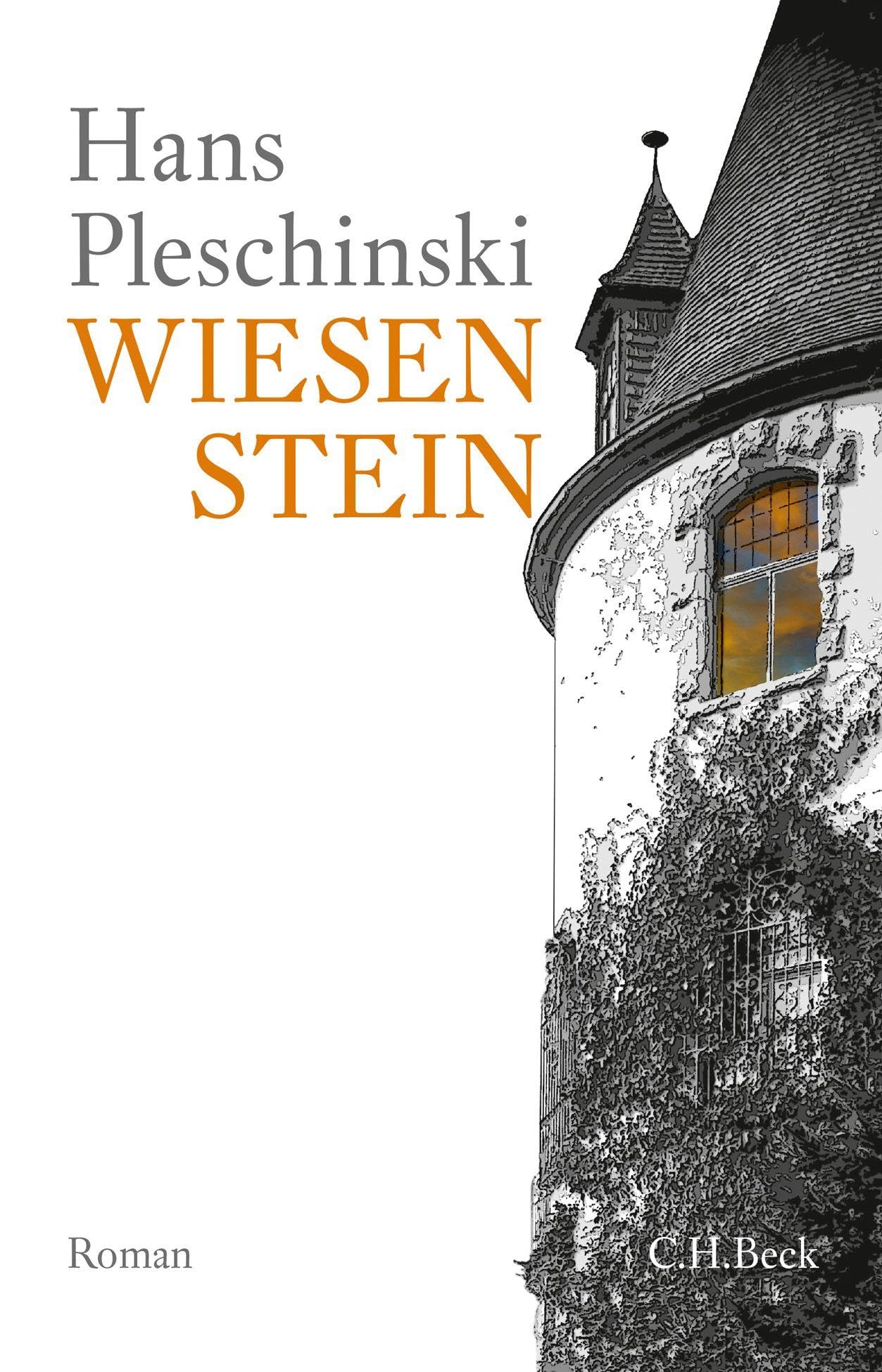 Wiesenstein: Roman