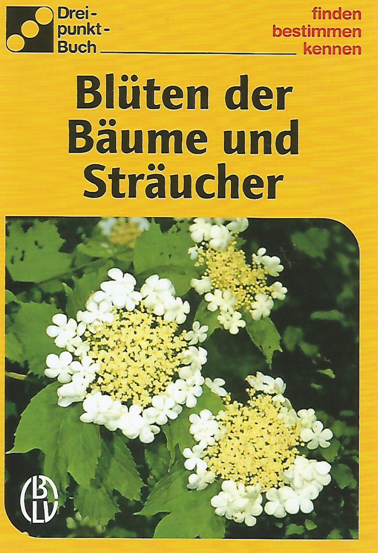 Blüten der Bäume und Sträucher