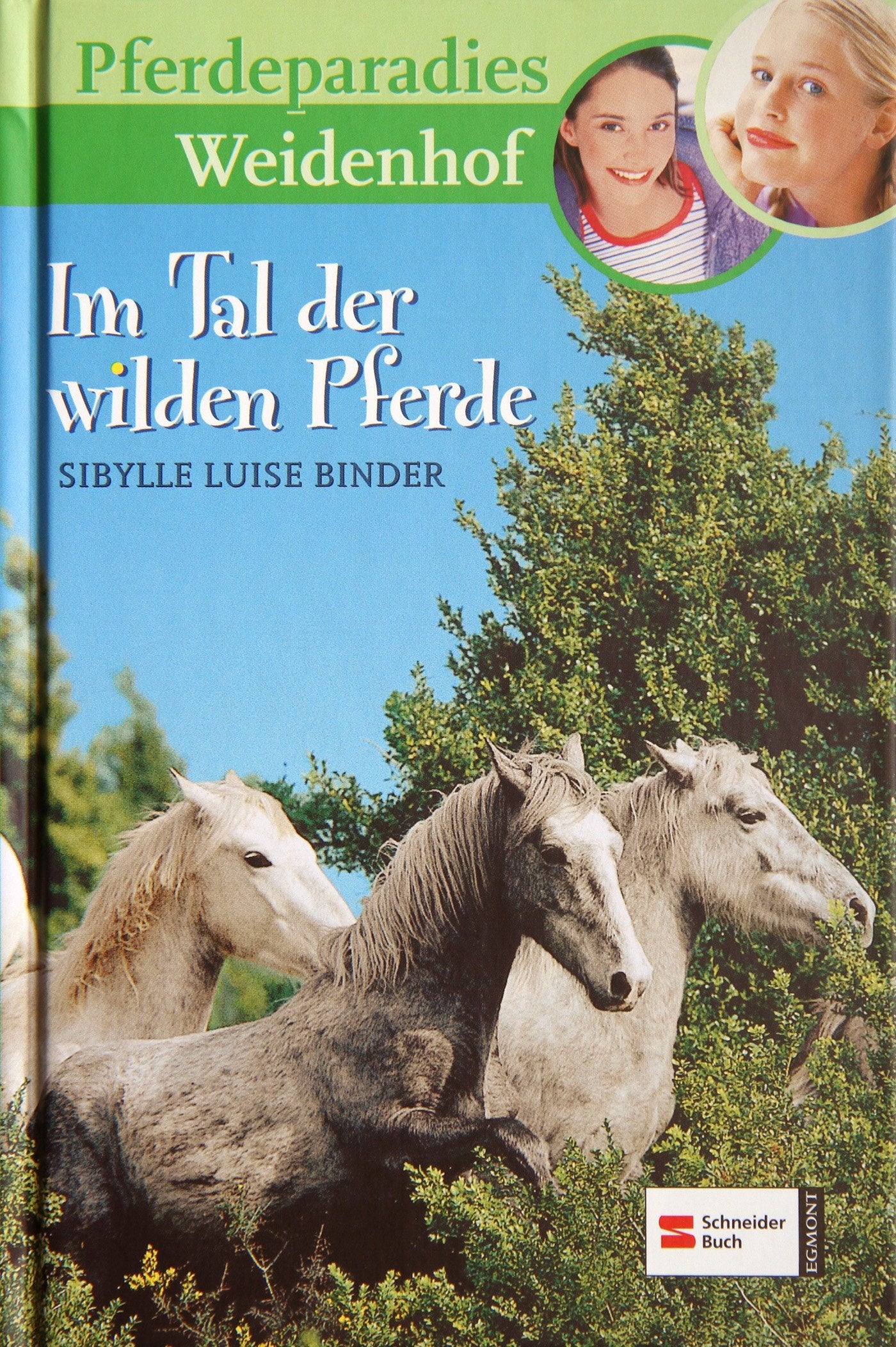 Pferdeparadies Weidenhof, Bd. 7, Im Tal der wilden Pferde