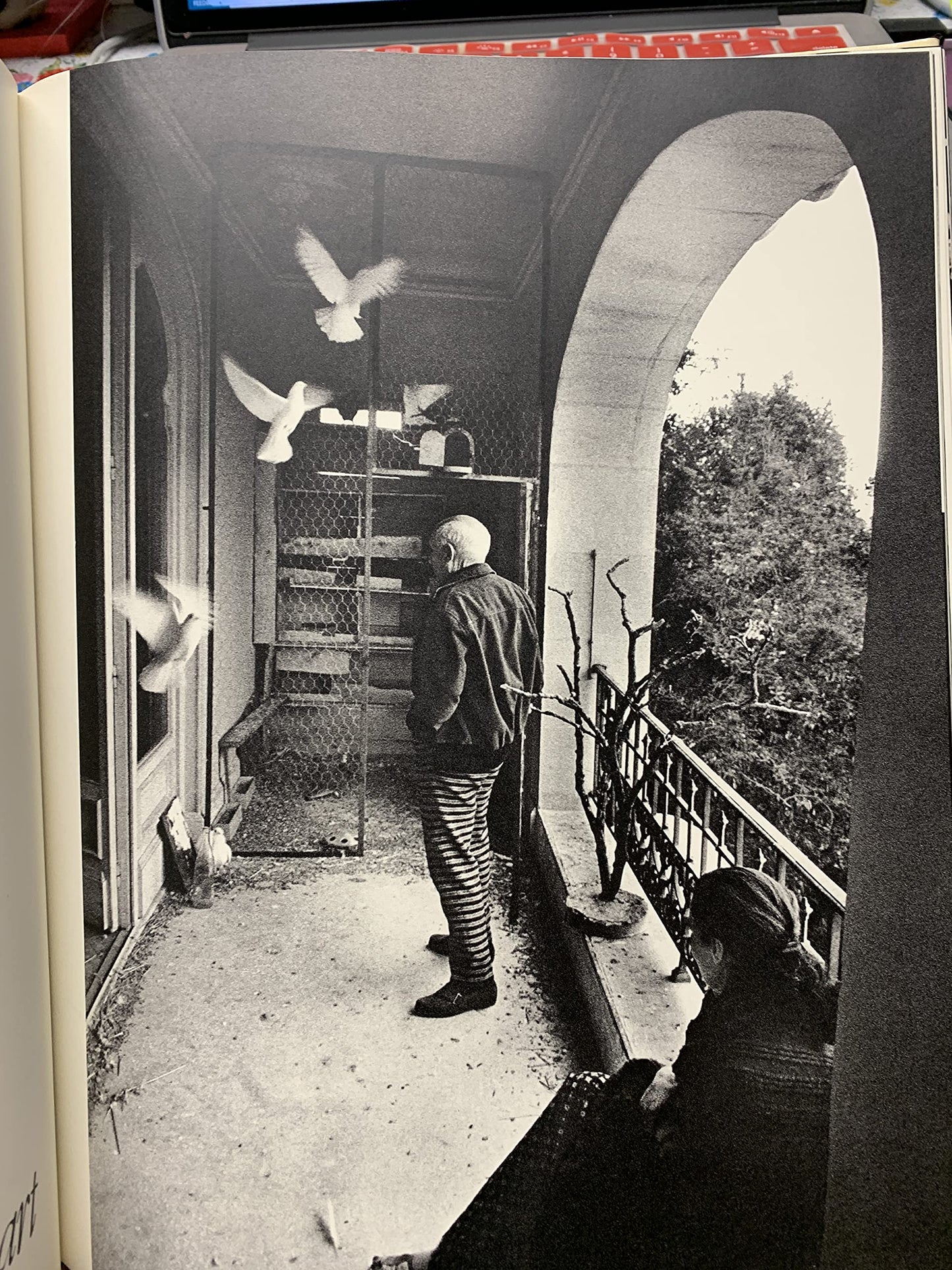 Adieu Picasso. Villa La Californie 1957 ... eine Retrospektive.