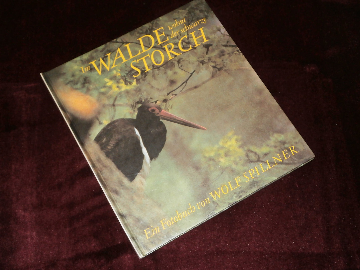Im Walde wohnt der schwarze Storch: Ein Fotobuch