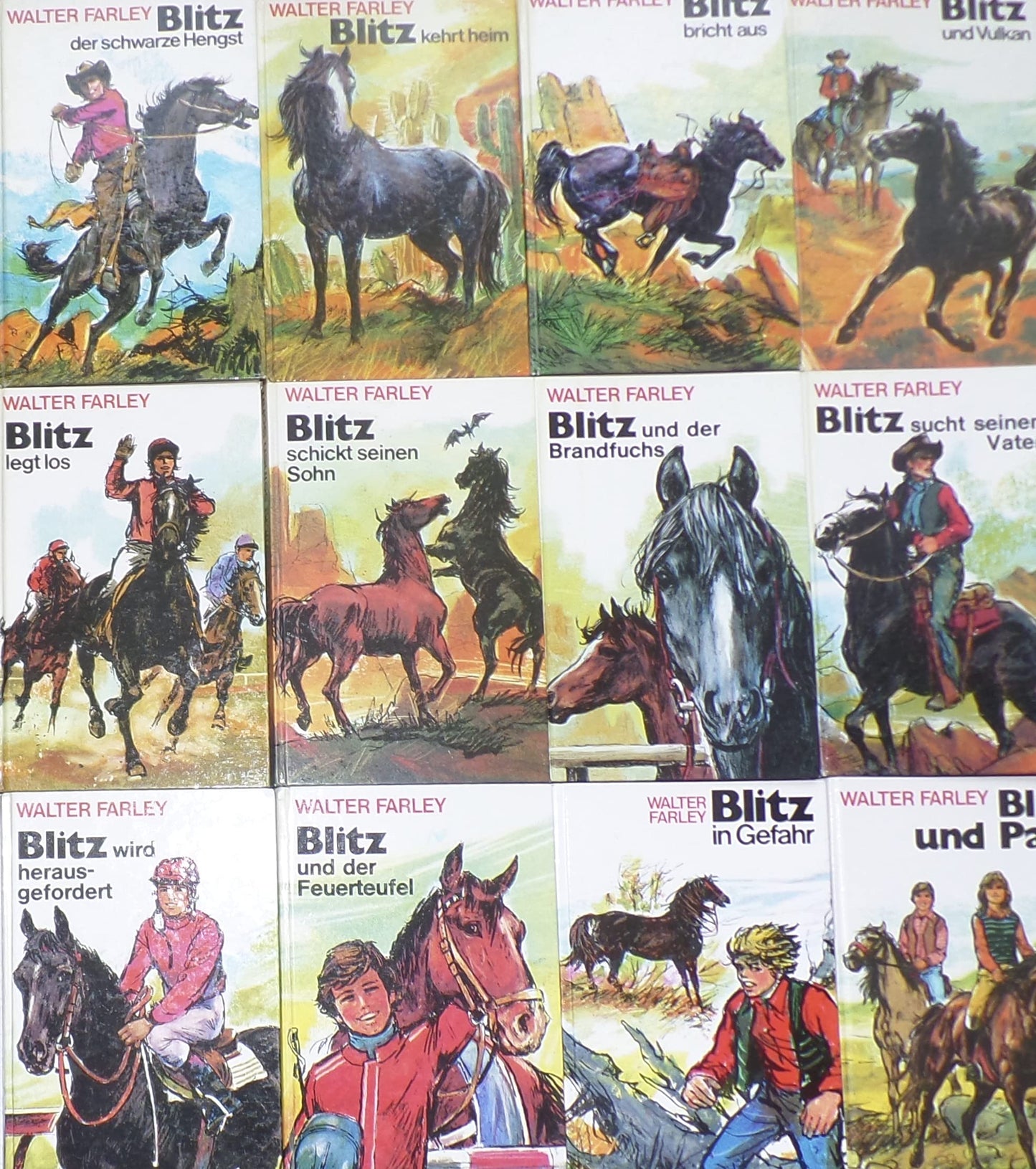 Blitz, der schwarze Hengst / kehrt heim / schickt seinen Sohn / Vulkan / bricht aus / legt los / sucht seinen Vater / der Brandfuchs / Feuerteufel / wird herausgefordert / in Gefahr / Pam (12 Bände)