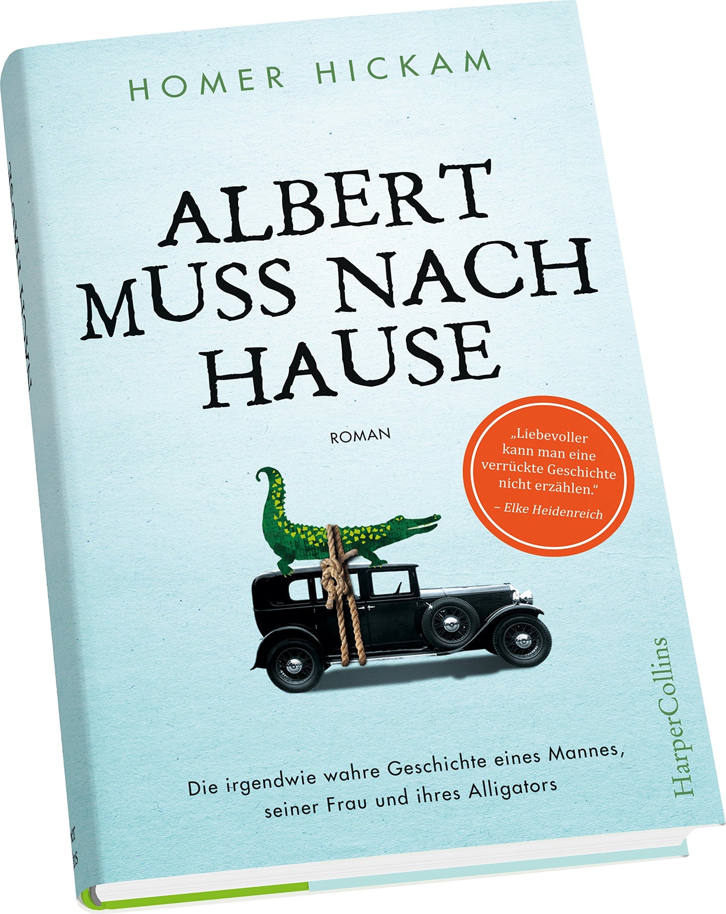 Albert muss nach Hause: Die irgendwie wahre Geschichte eines Mannes, seiner Frau und ihres Alligators