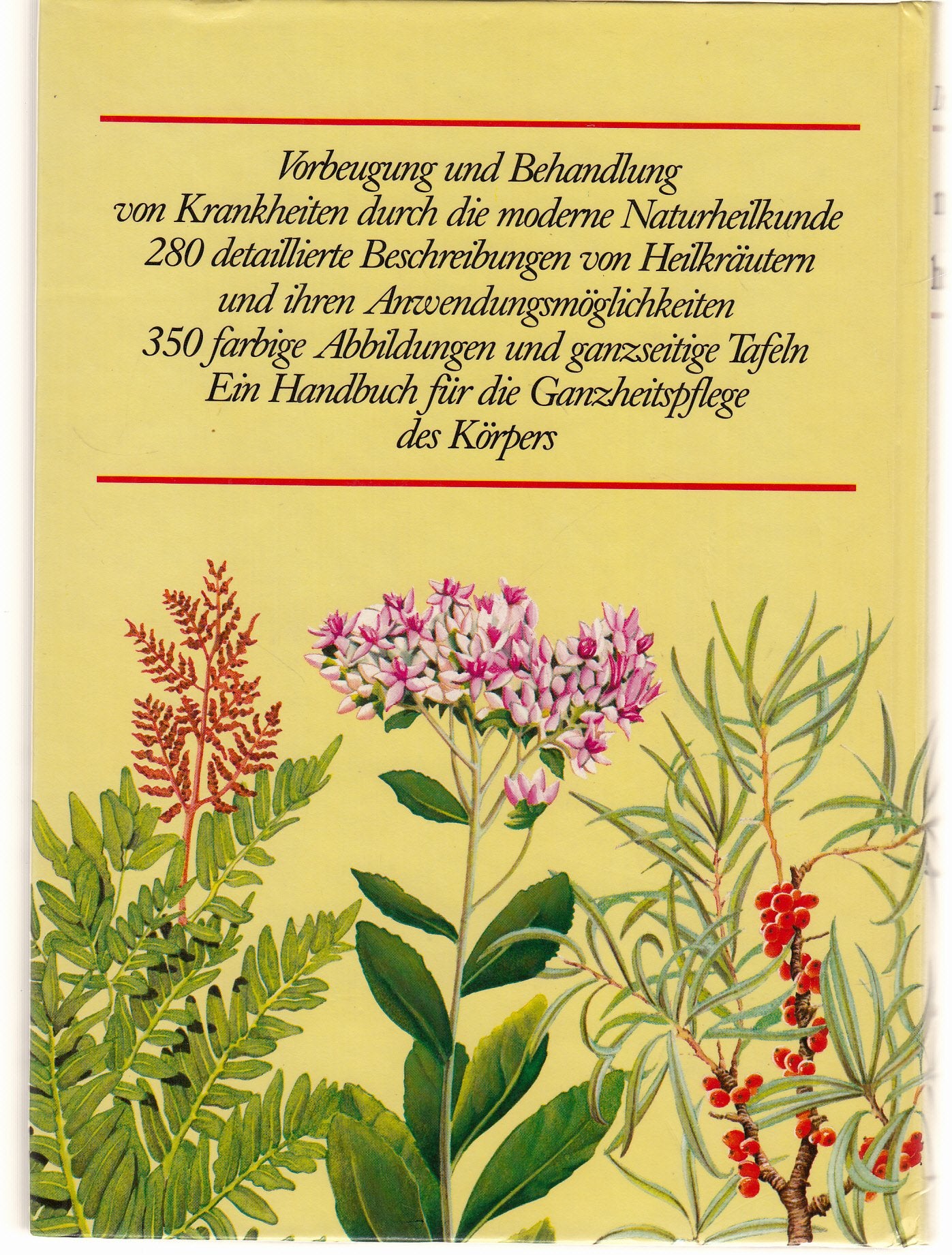 Die moderne Naturheilkunde. Gesund durch Heilkräuter (388190577)
