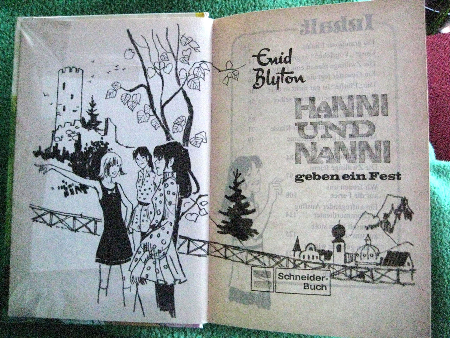 Hanni und Nanni geben ein Fest