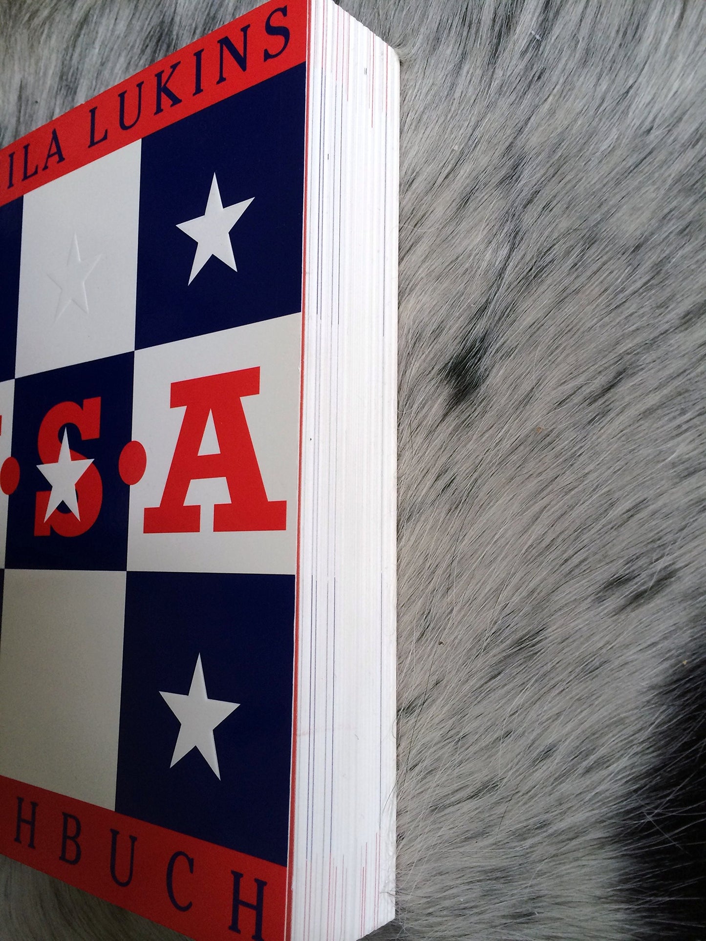 USA Kochbuch