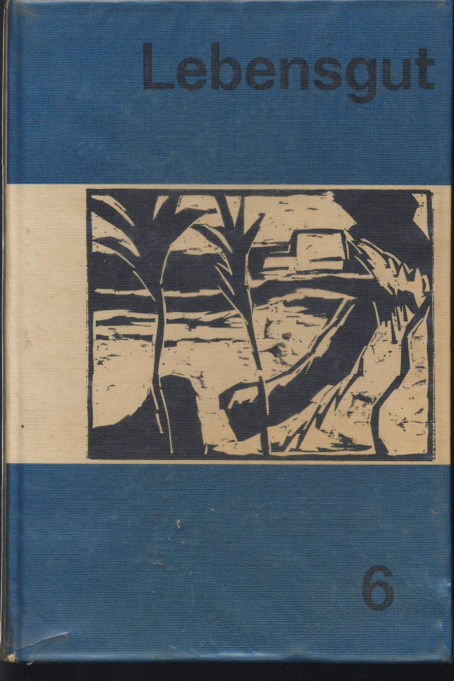 Lebensgut. Ein deutsches Lesebuch für höhere Schulen. Zweiter Teil 6. Schuljahr