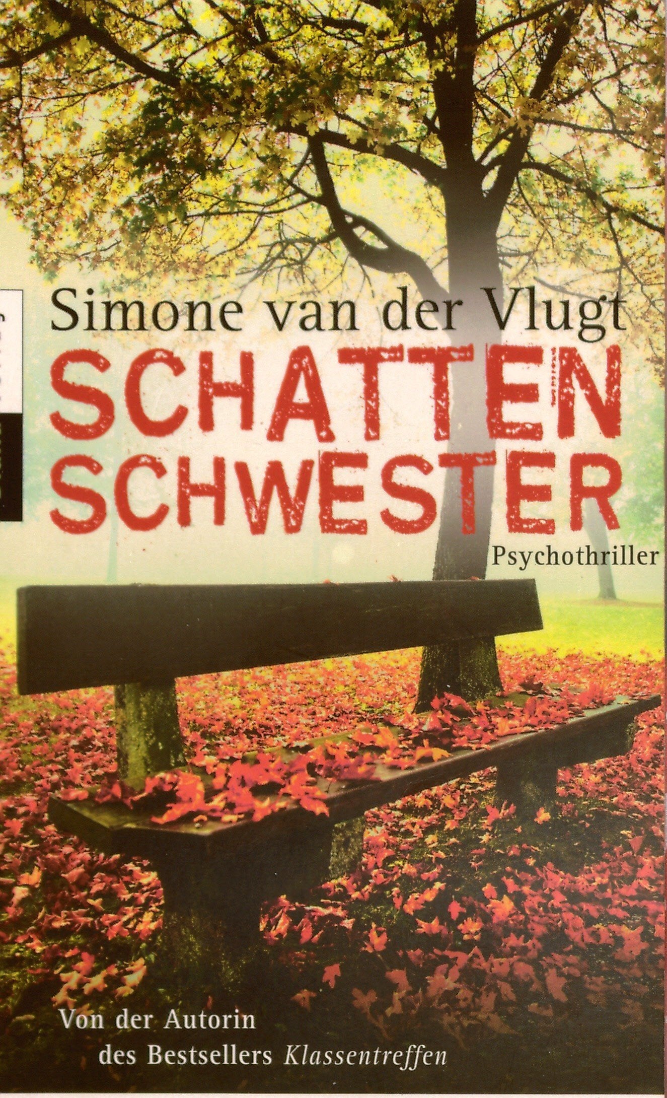 Schattenschwester: Psychothriller