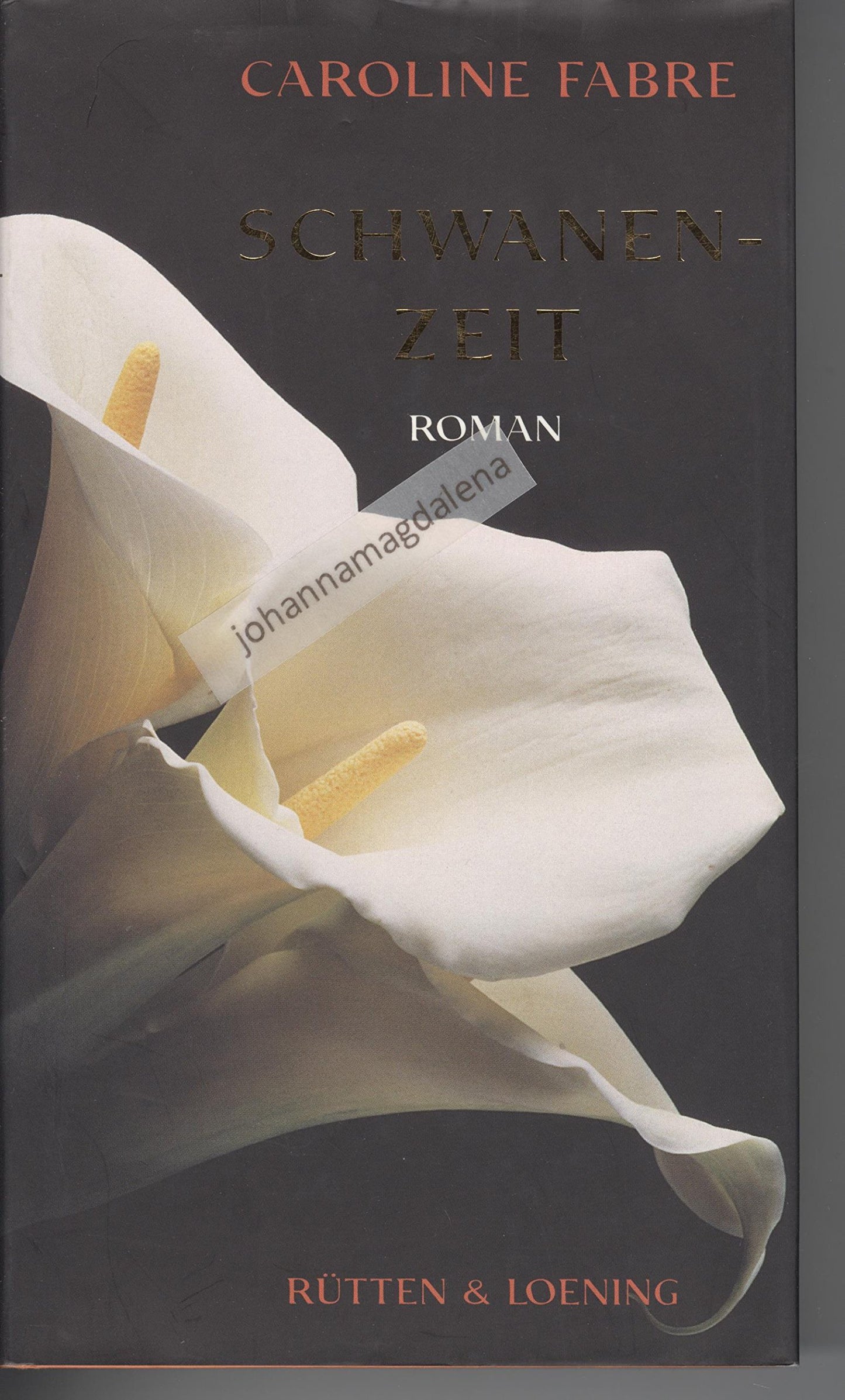 Schwanenzeit