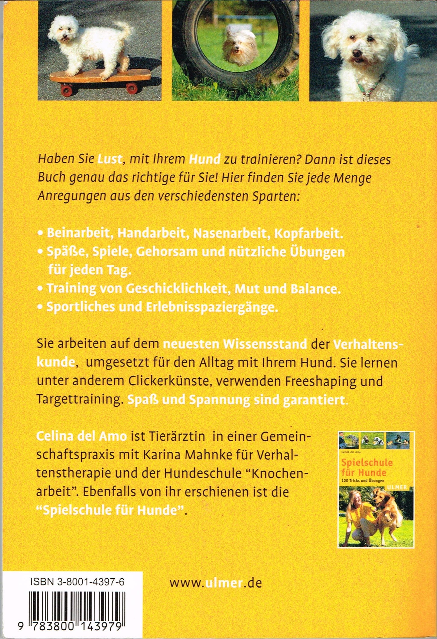 Spaßschule für Hunde: 100 ganz neue Spiele, Tricks und Übungen (Ulmer Taschenbücher)