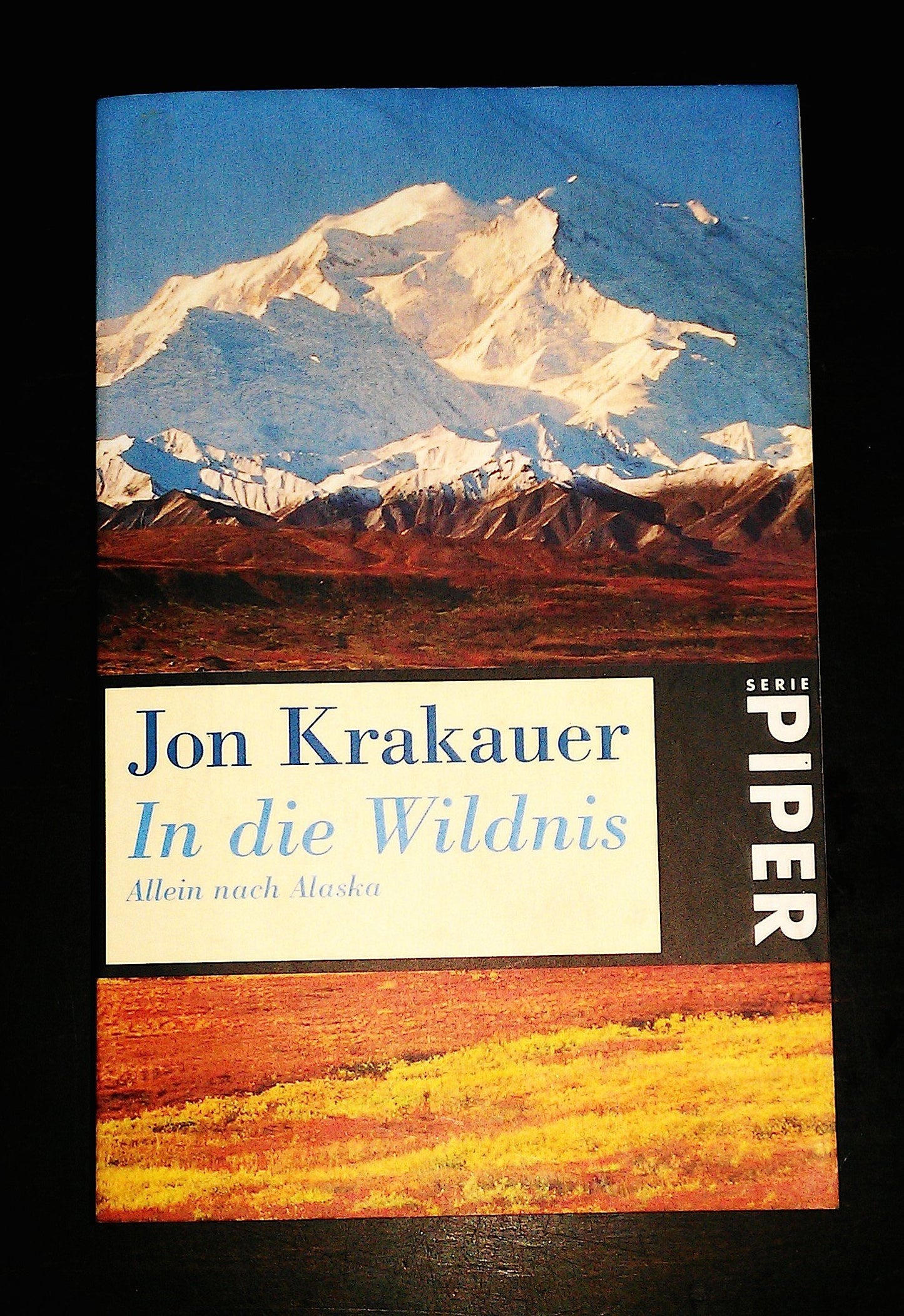 In die Wildnis. Allein nach Alaska (Piper Taschenbuch)