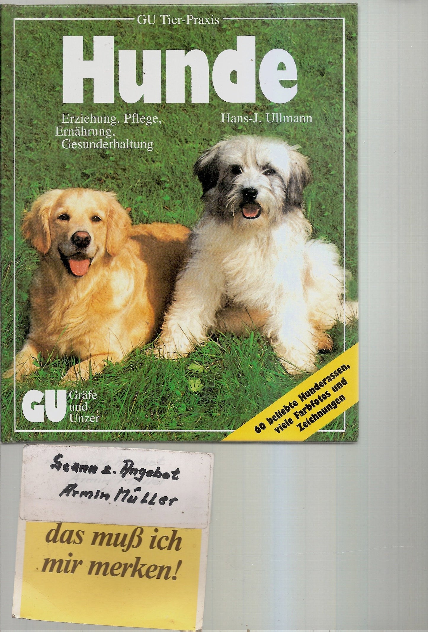 Hunde halten mit Herz und Verstand. Experten-Rat für Erziehung, Pflege, Ernährung und Gesunderhaltung. Sonderteil: Porträts und Pflegetips beliebter Hunderassen