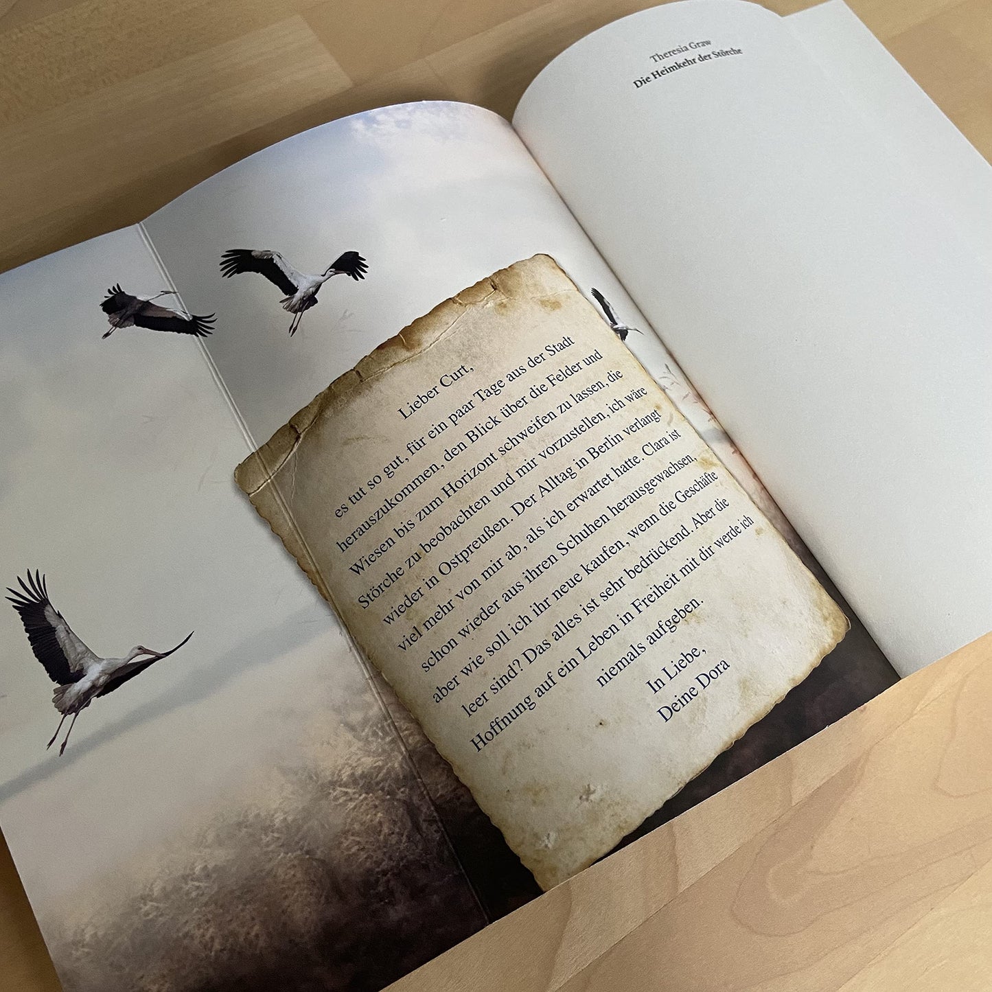 Die Heimkehr der Störche: Roman | Eine große Liebesgeschichte zur Zeit der deutsch-deutschen Teilung - inspiriert von wahren Begebenheiten (Die Gutsherrin-Saga, Band 2)