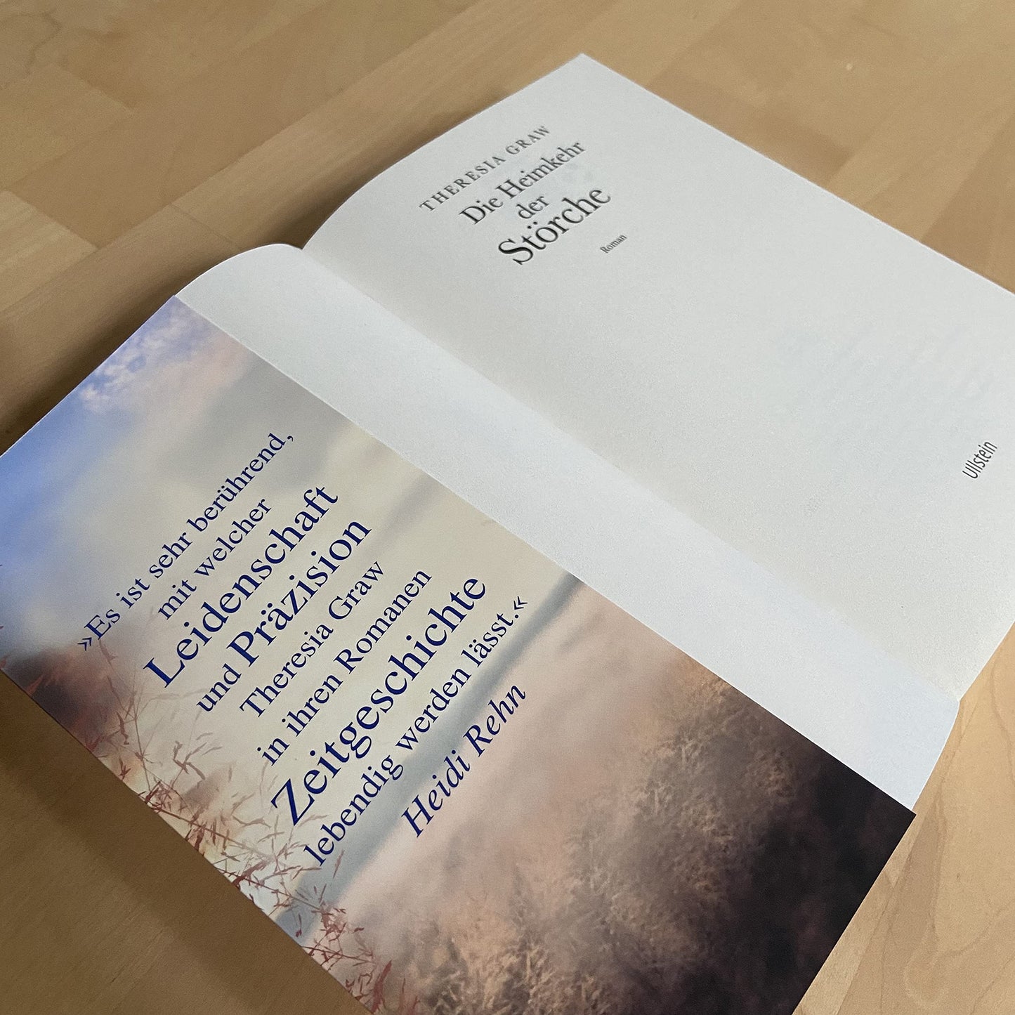 Die Heimkehr der Störche: Roman | Eine große Liebesgeschichte zur Zeit der deutsch-deutschen Teilung - inspiriert von wahren Begebenheiten (Die Gutsherrin-Saga, Band 2)
