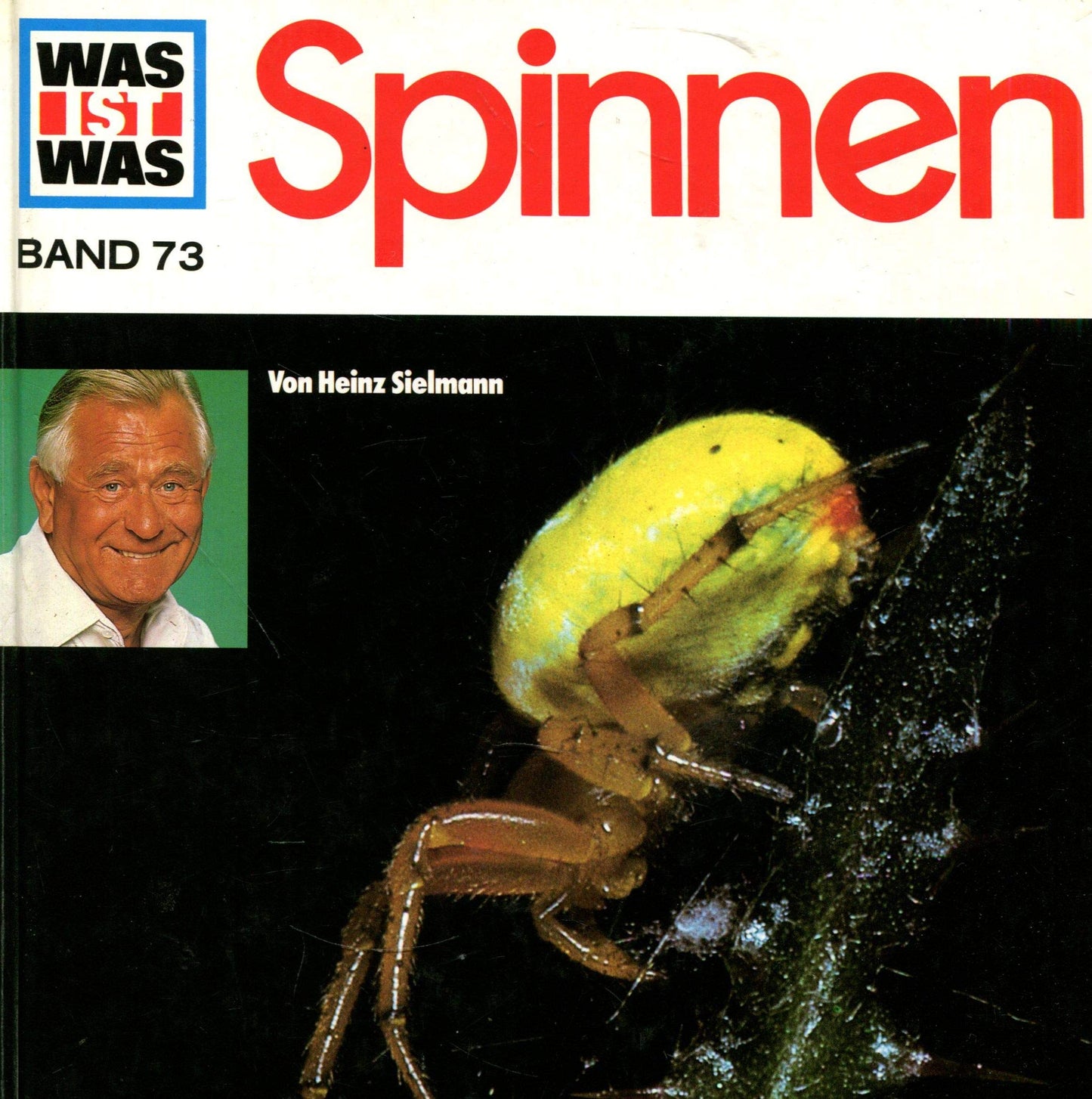 Spinnen.
