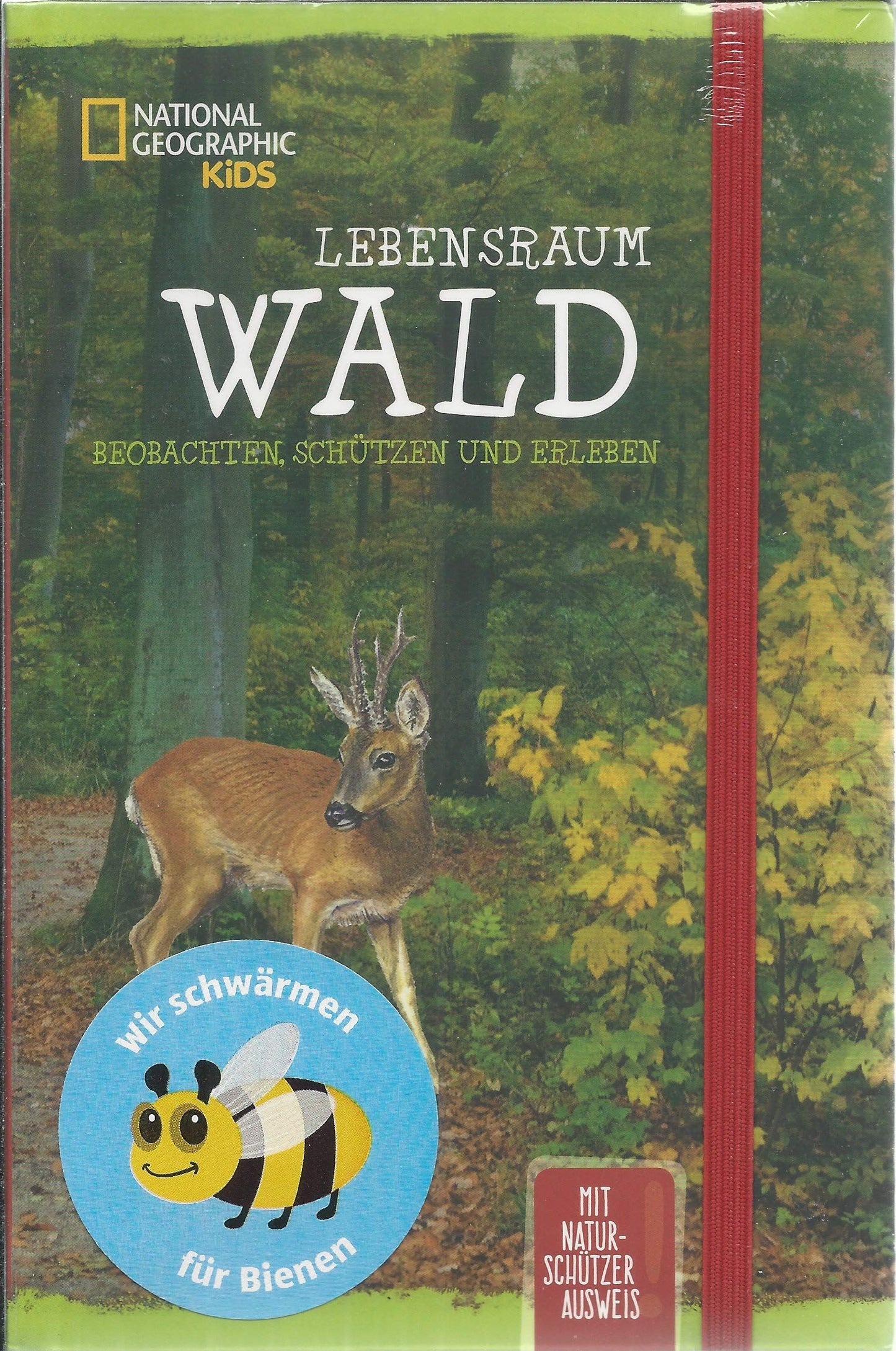 lebensraum wald beobachten, schützen und erleben