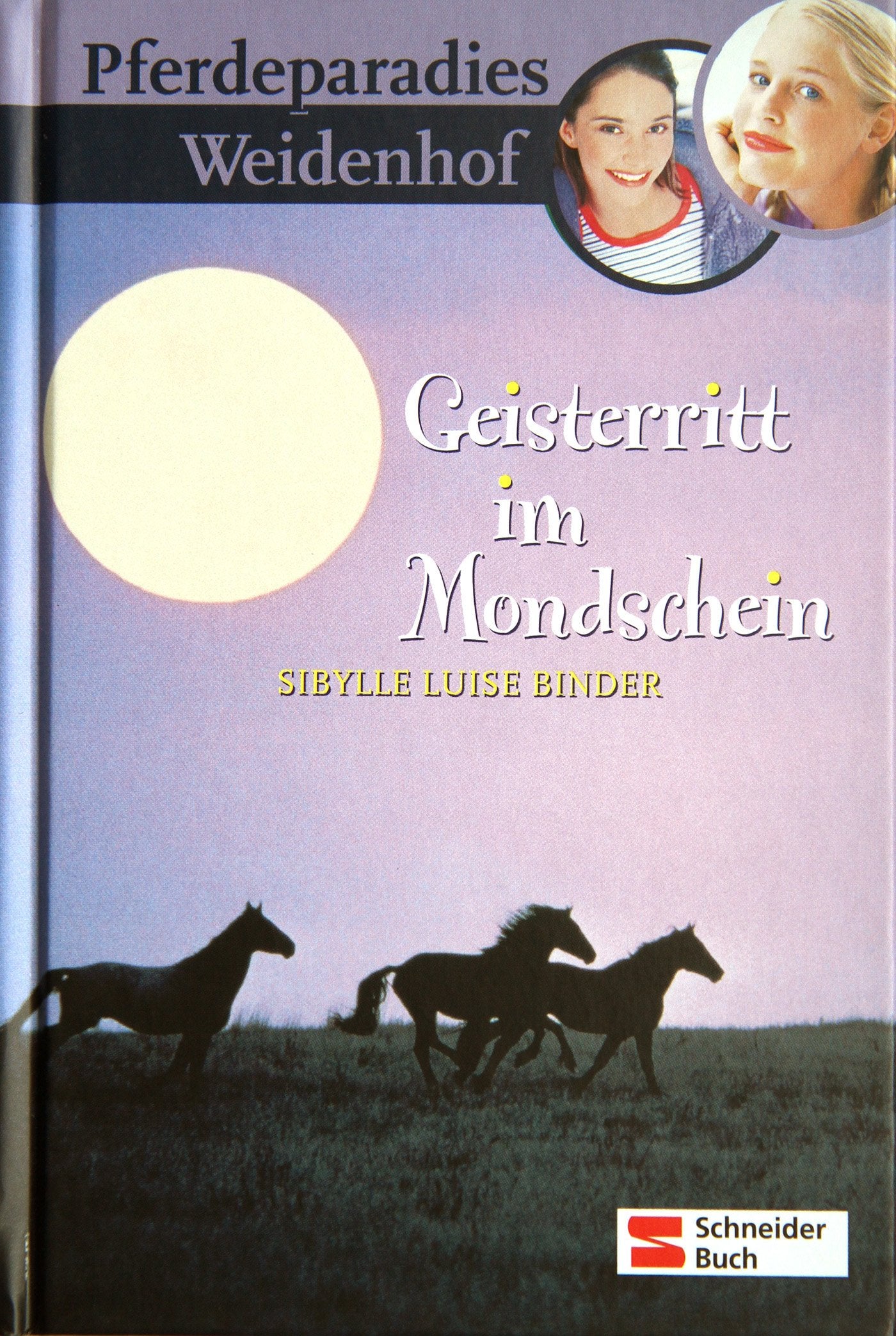 Pferdeparadies Weidenhof, Bd. 8, Geisterritt im Mondschein
