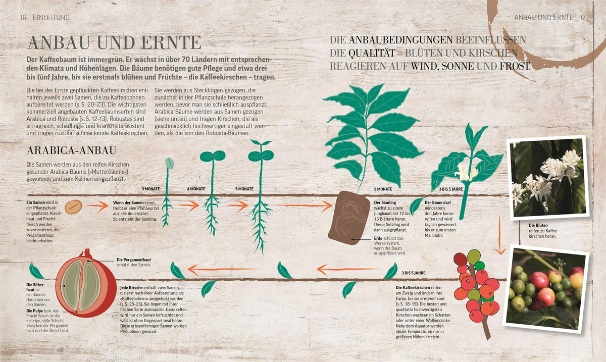 Das Kaffee-Buch: Sorten, Anbaugebiete, Barista-Wissen und Rezepte aus der ganzen Welt