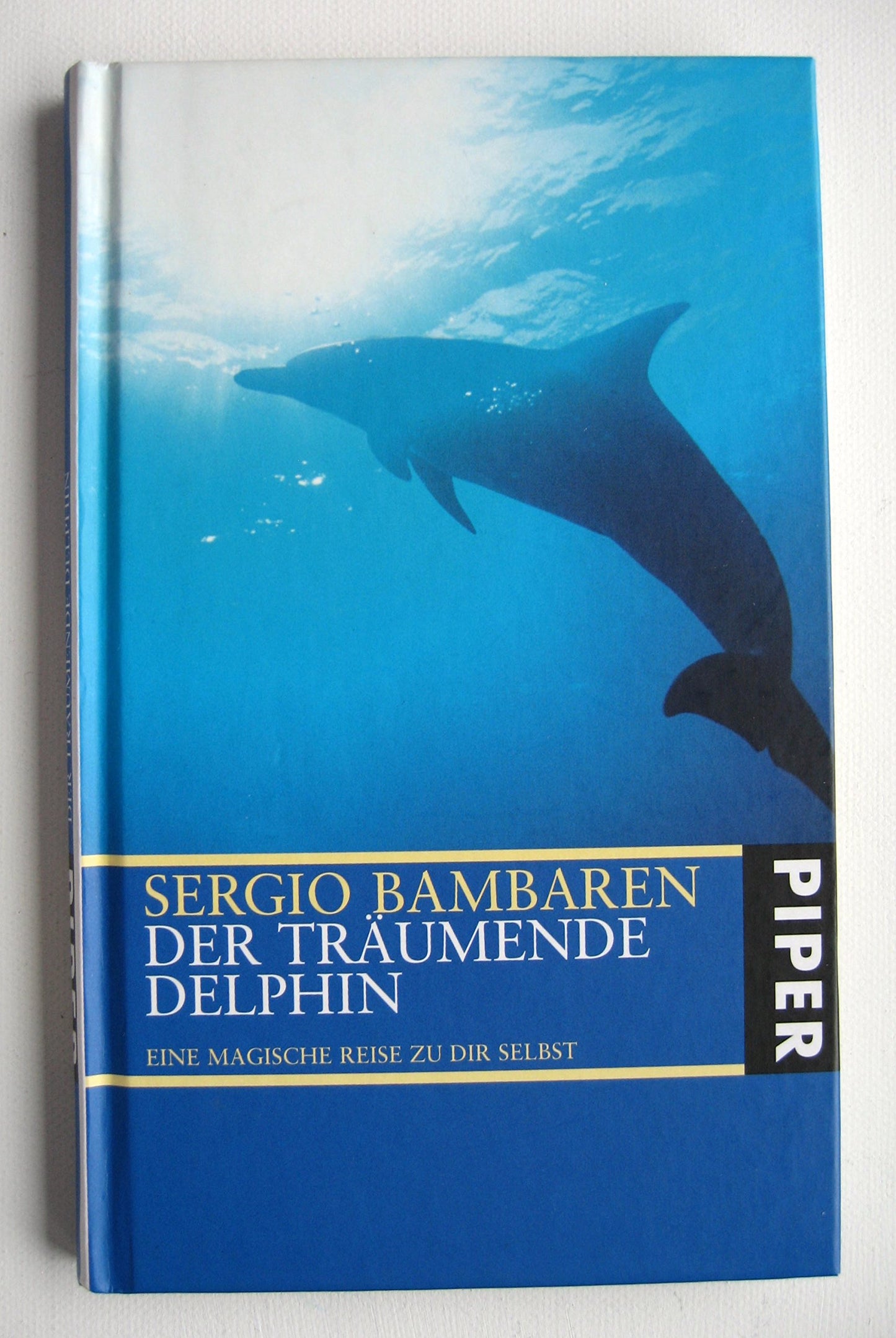 Der träumende Delphin: Eine magische Reise zu dir selbst