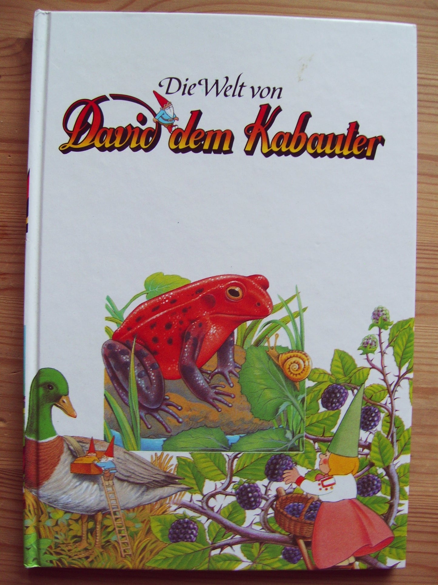 Die Welt von David dem Kabauter Nr. 17