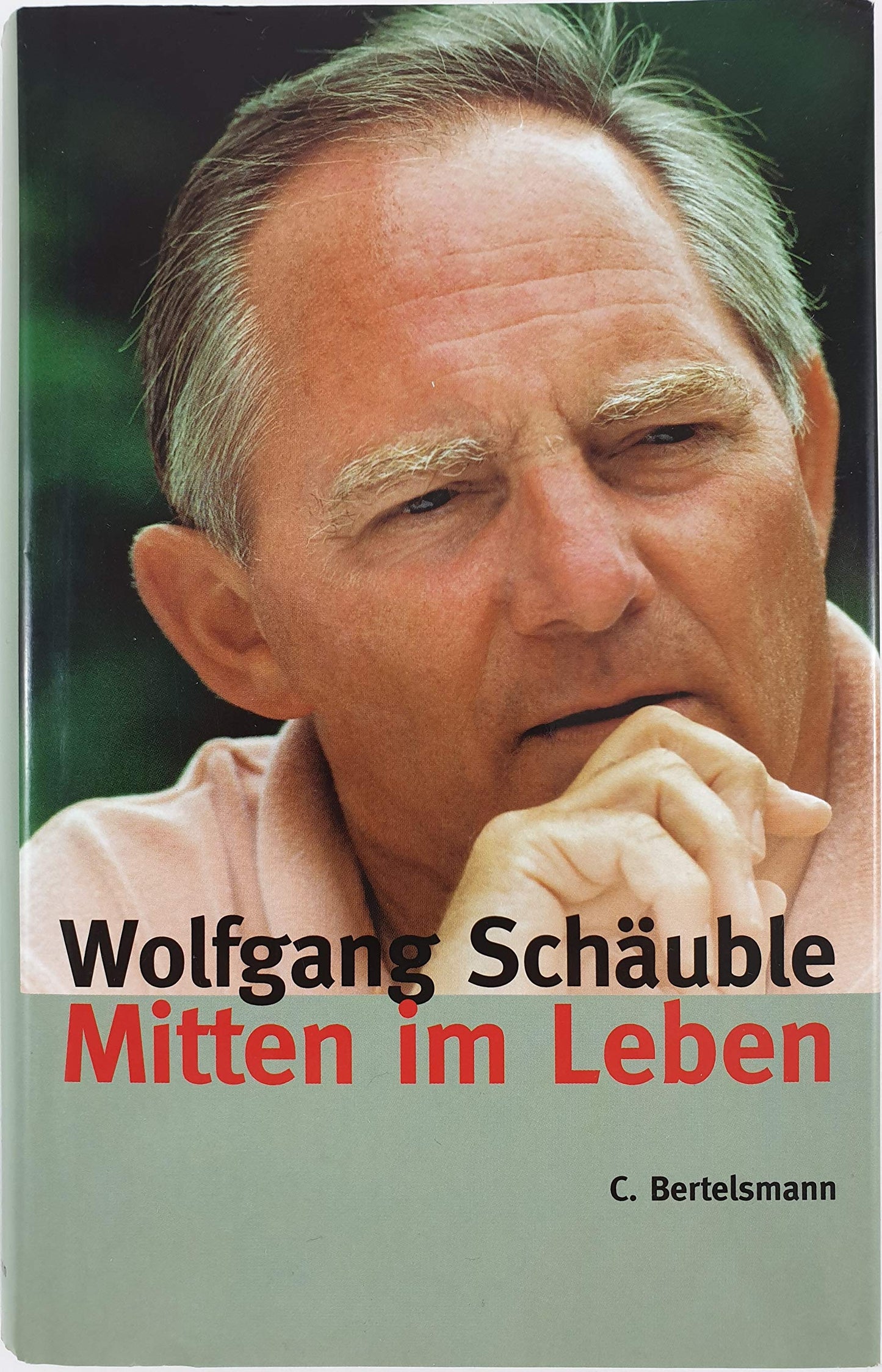 Mitten im Leben (Hardcover Non-Fiction)