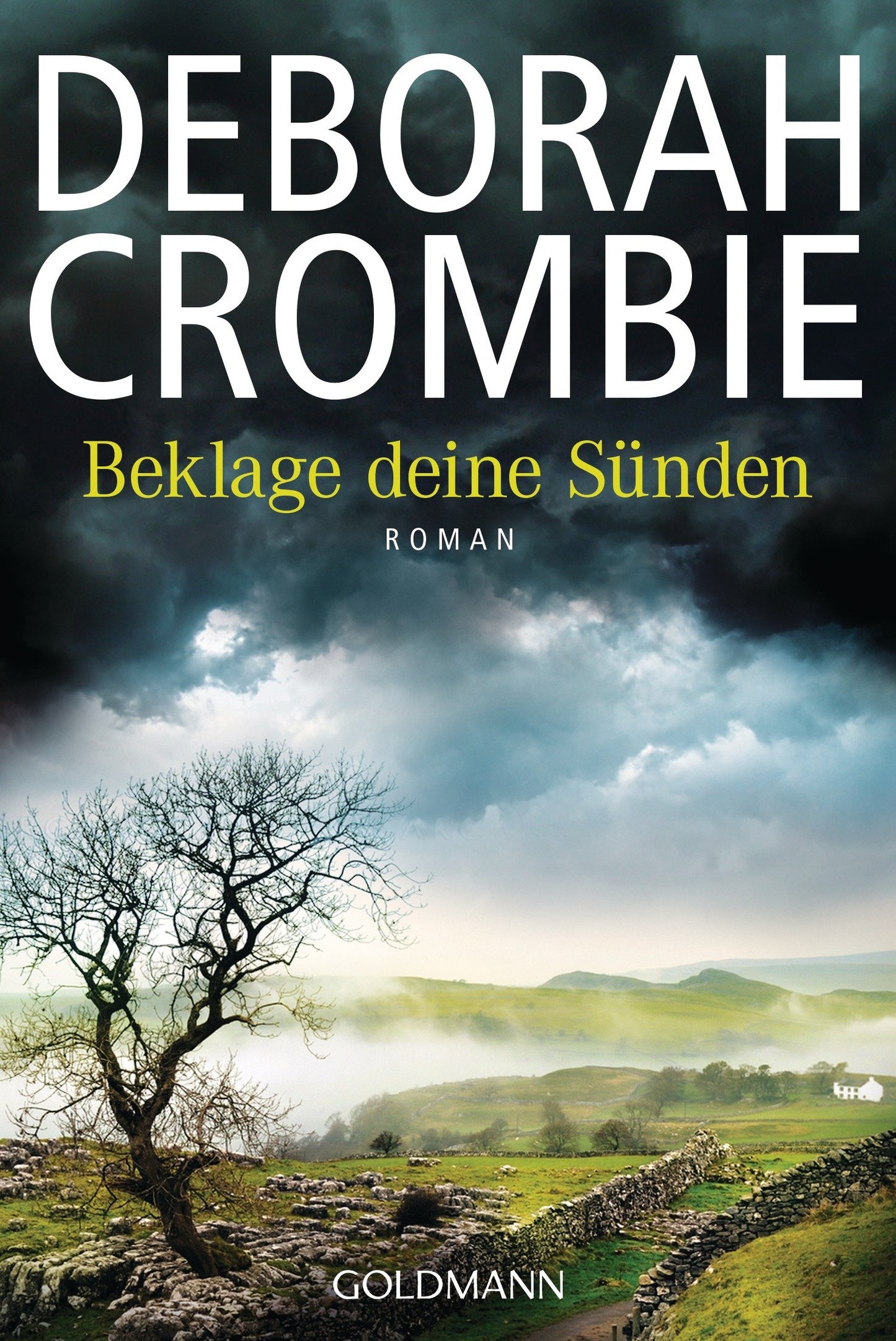 Beklage deine Sünden: Roman (Die Kincaid-James-Romane, Band 17)