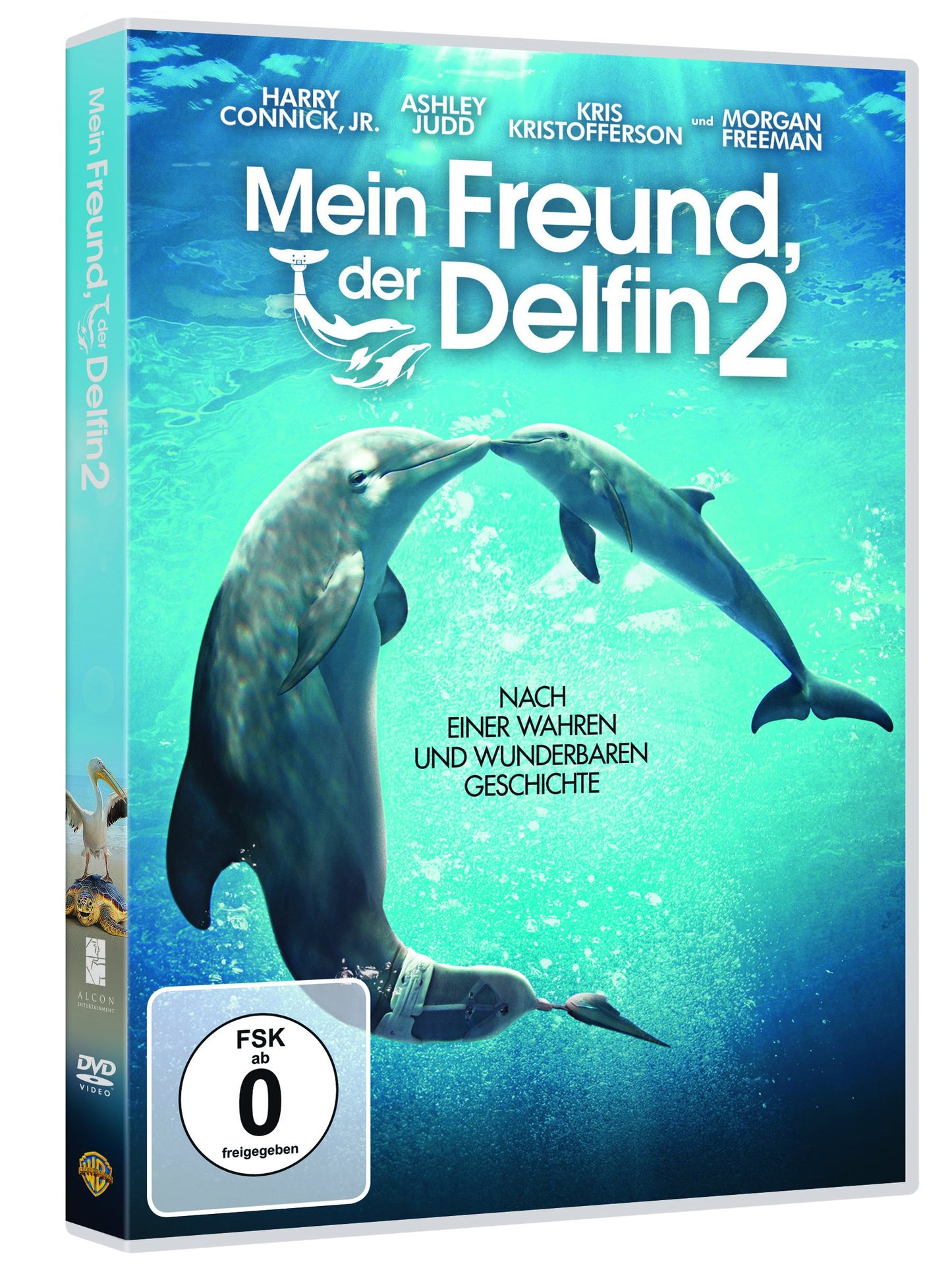 Mein Freund, der Delfin 2