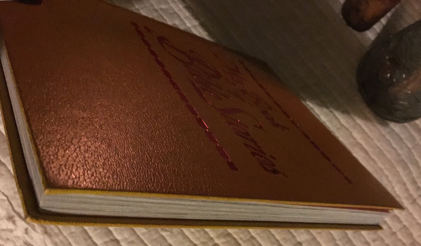 My Book of Bible Stories