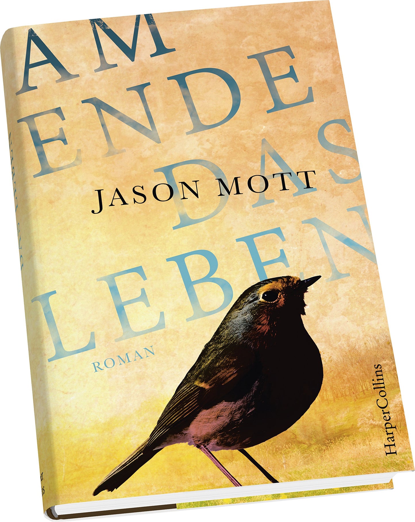 Am Ende das Leben: Roman