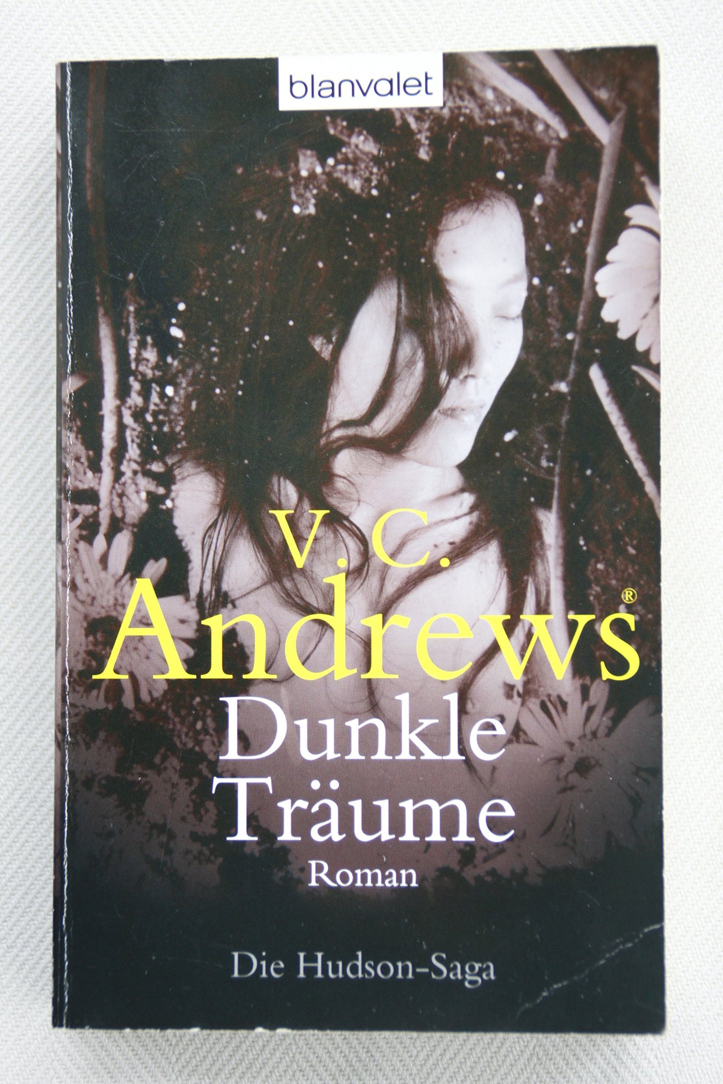 Dunkle Träume: Roman - Die Hudson-Saga