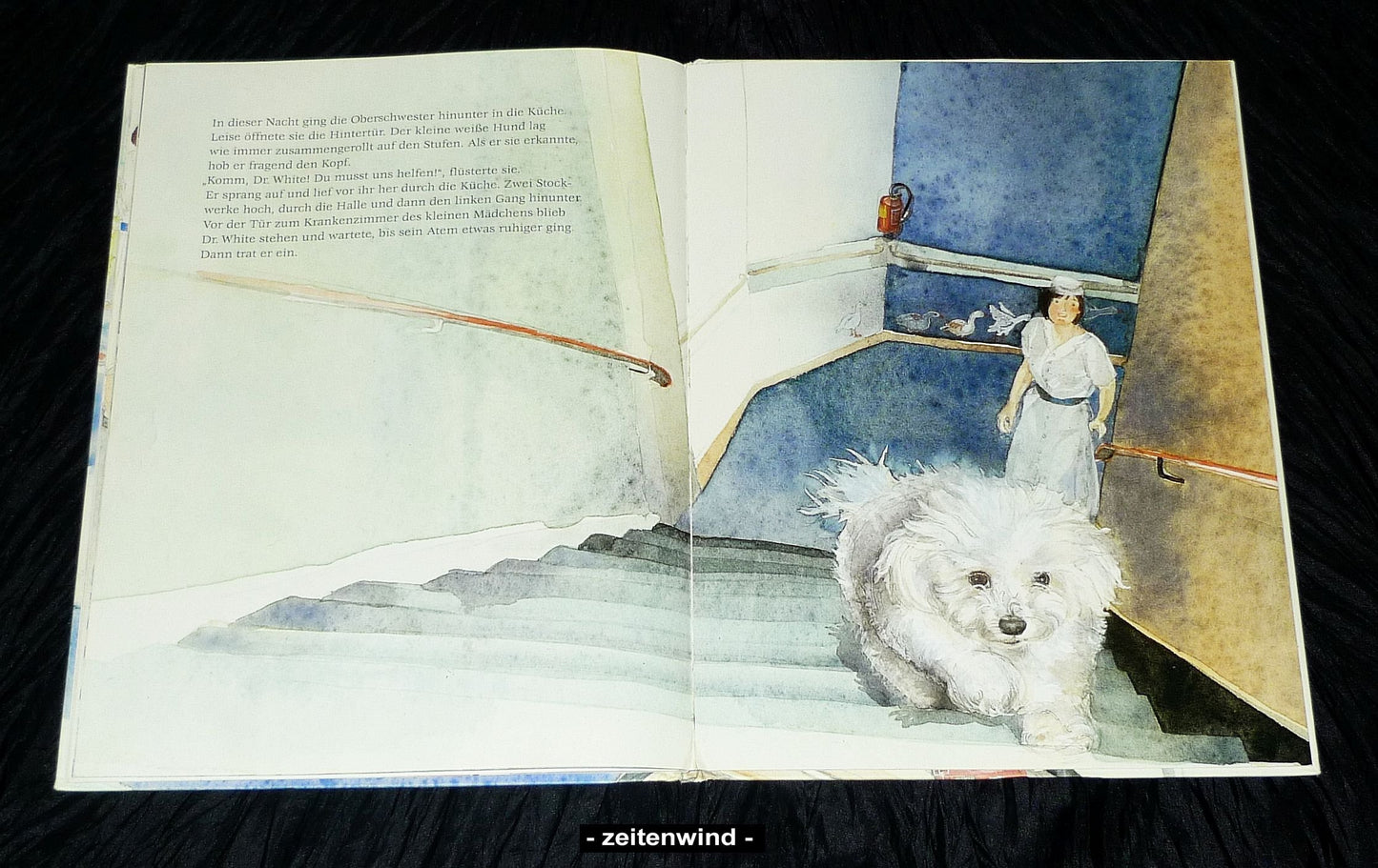 Der kleine Doktor White