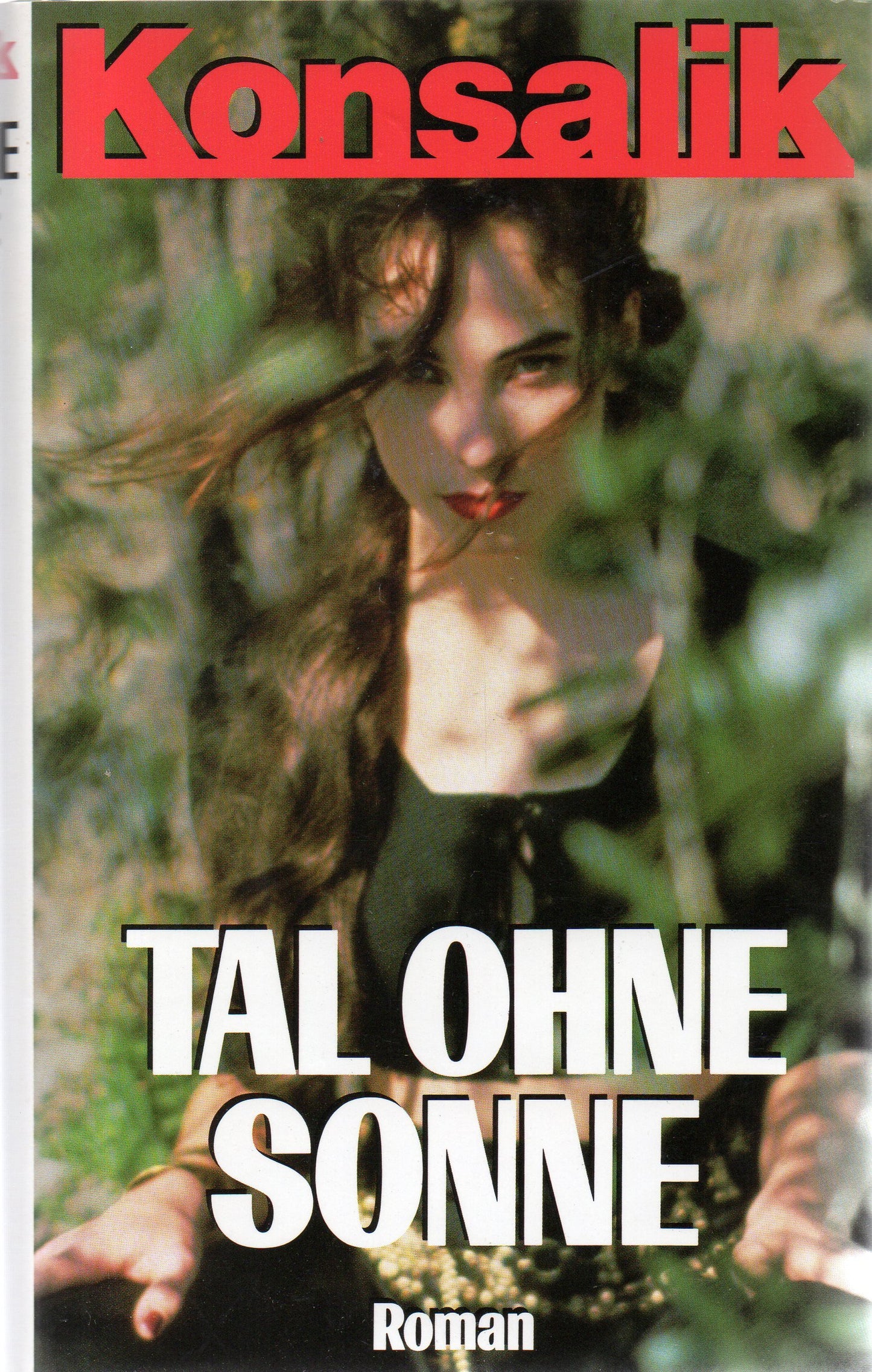 Tal ohne Sonne : Roman.