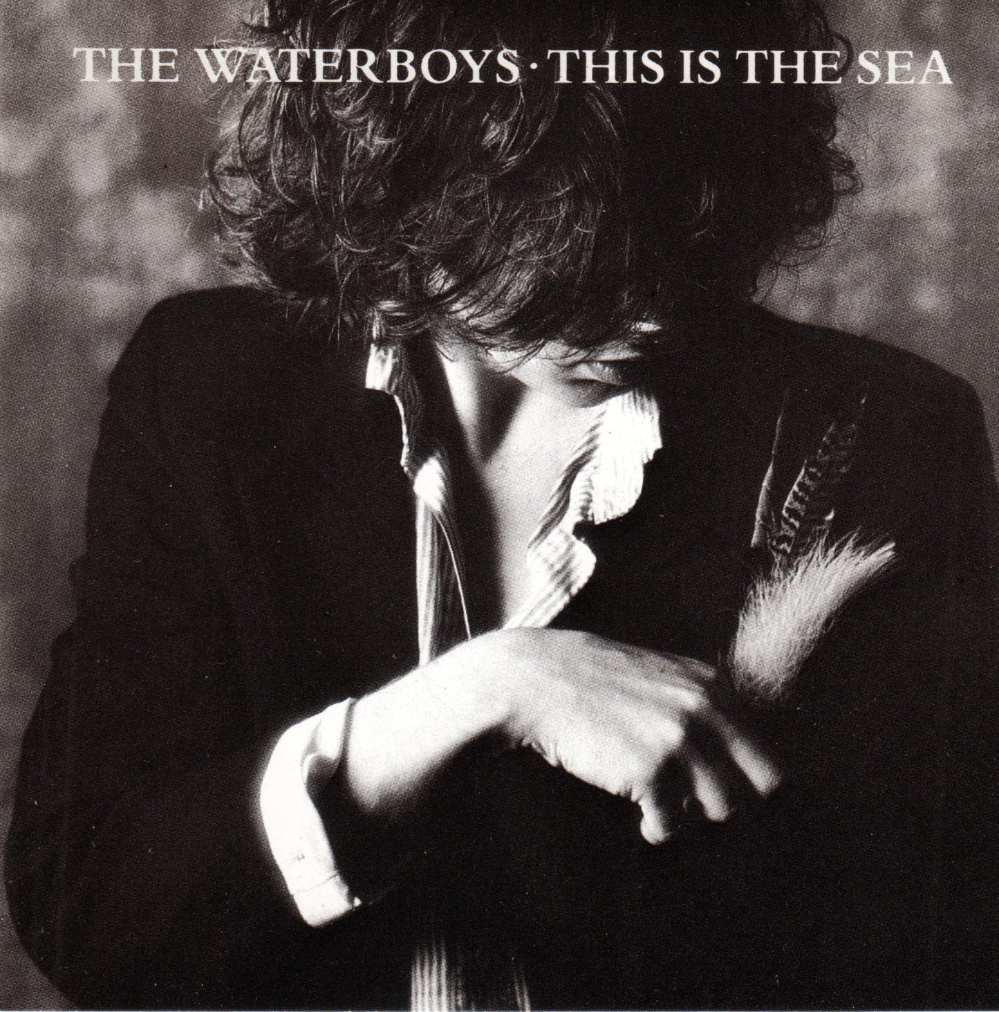 This Is the Sea
