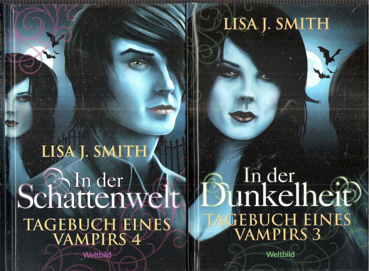 Tagebuch eines Vampirs-Zyklus: Im Zwielicht; Bei Dämmerung; In der Schattenwelt; In der Dunkelheit (4 Bände 2010) [Gebundene Ausgabe] [Jan 01, 2014] Lisa J. Smith