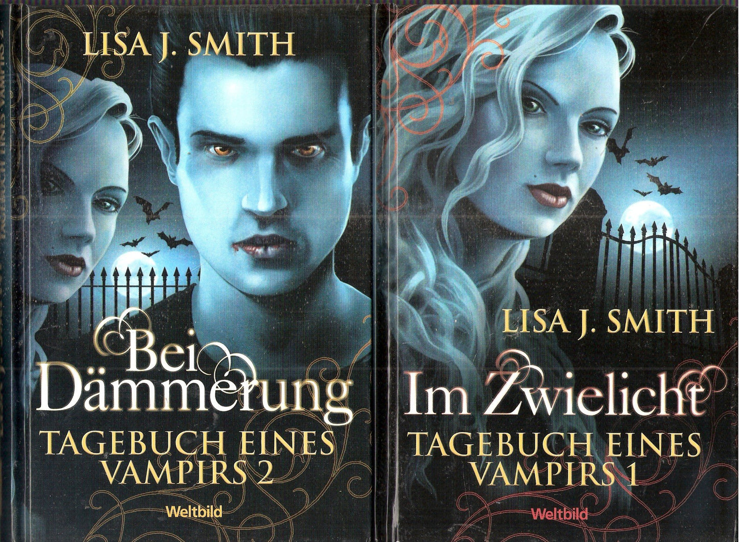 Tagebuch eines Vampirs-Zyklus: Im Zwielicht; Bei Dämmerung; In der Schattenwelt; In der Dunkelheit (4 Bände 2010) [Gebundene Ausgabe] [Jan 01, 2014] Lisa J. Smith