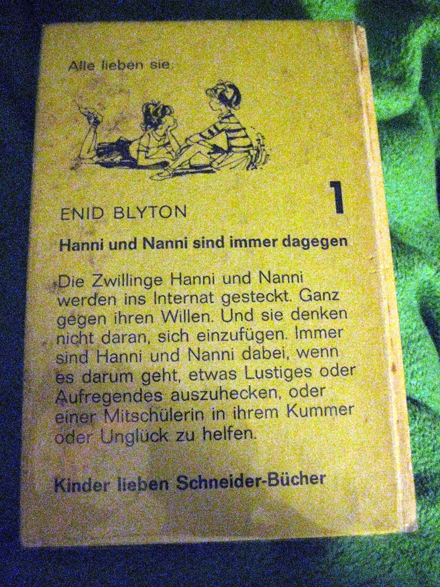 Hanni und Nanni sind immer dagegen
