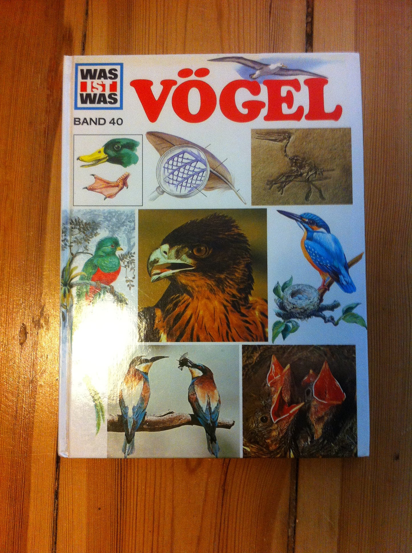 Vögel.