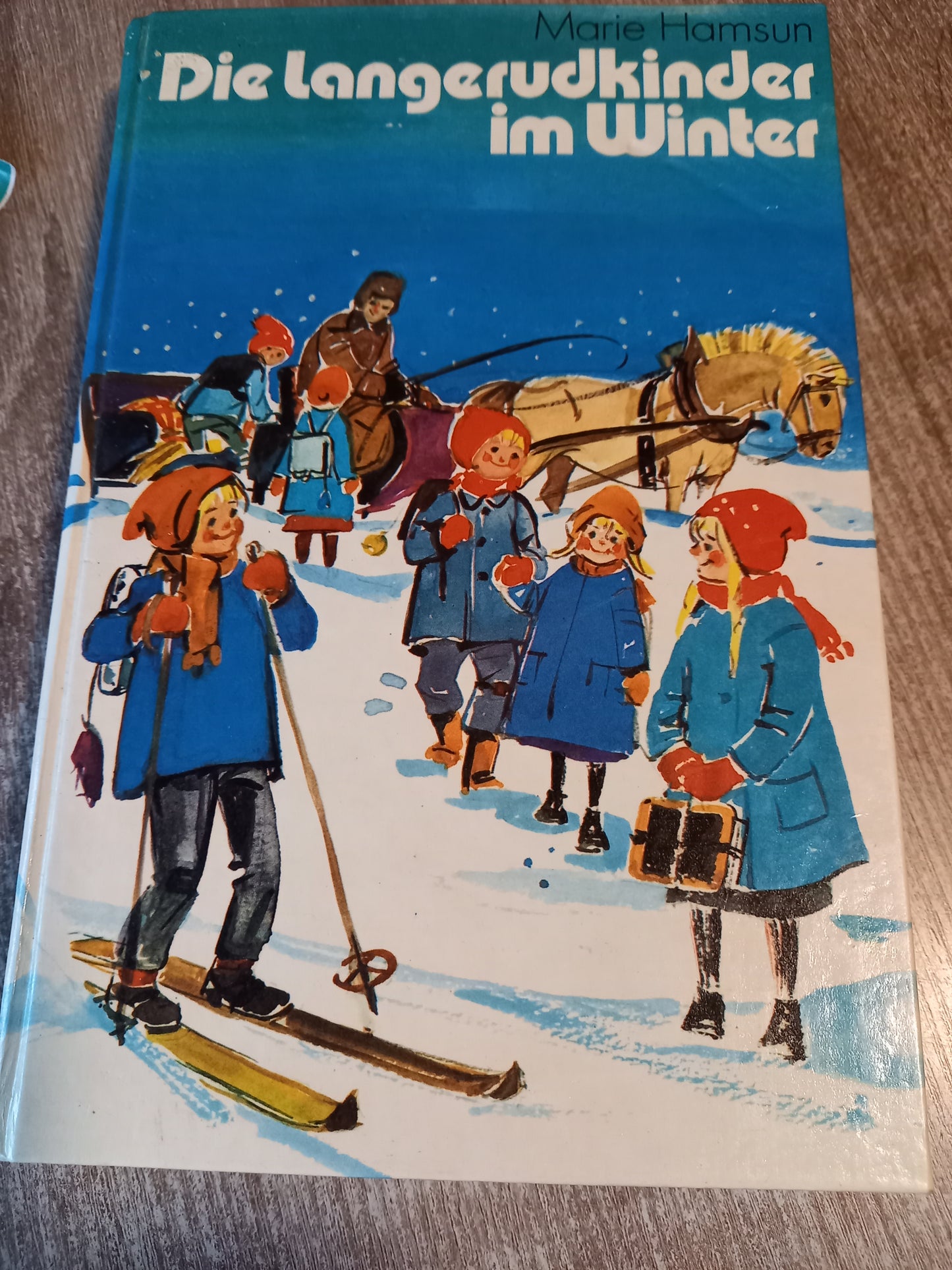 Die Langerudkinder im Winter von Hamsun