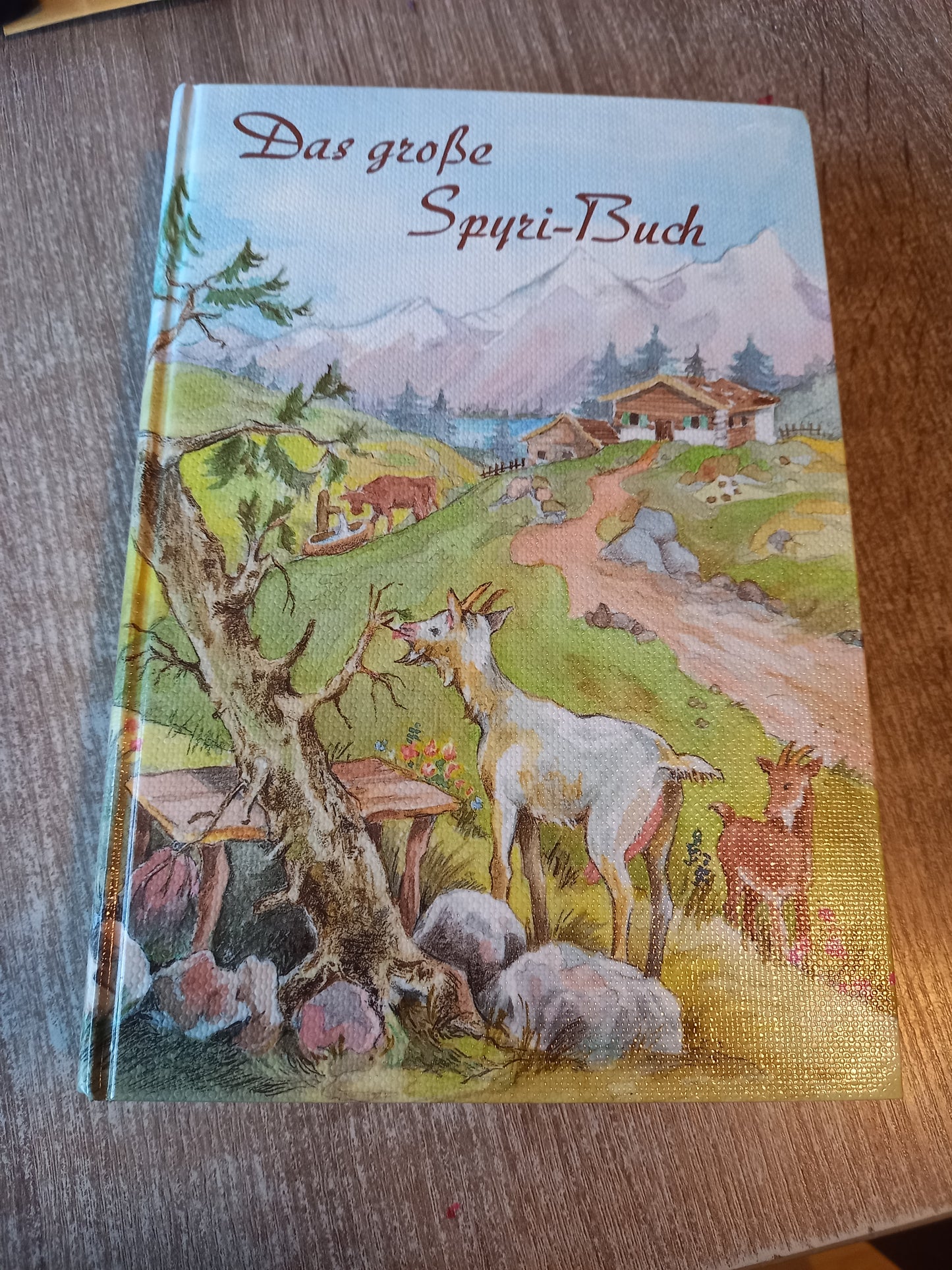 Das große Spyri Buch