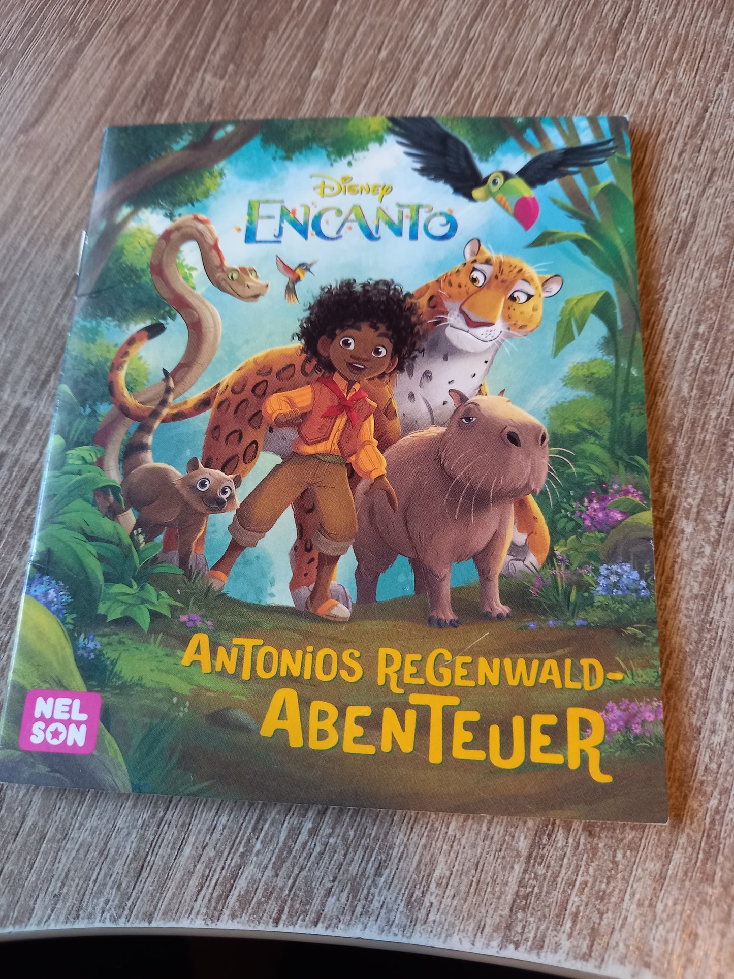 Encanto Antonios Regenwald Abenteuer