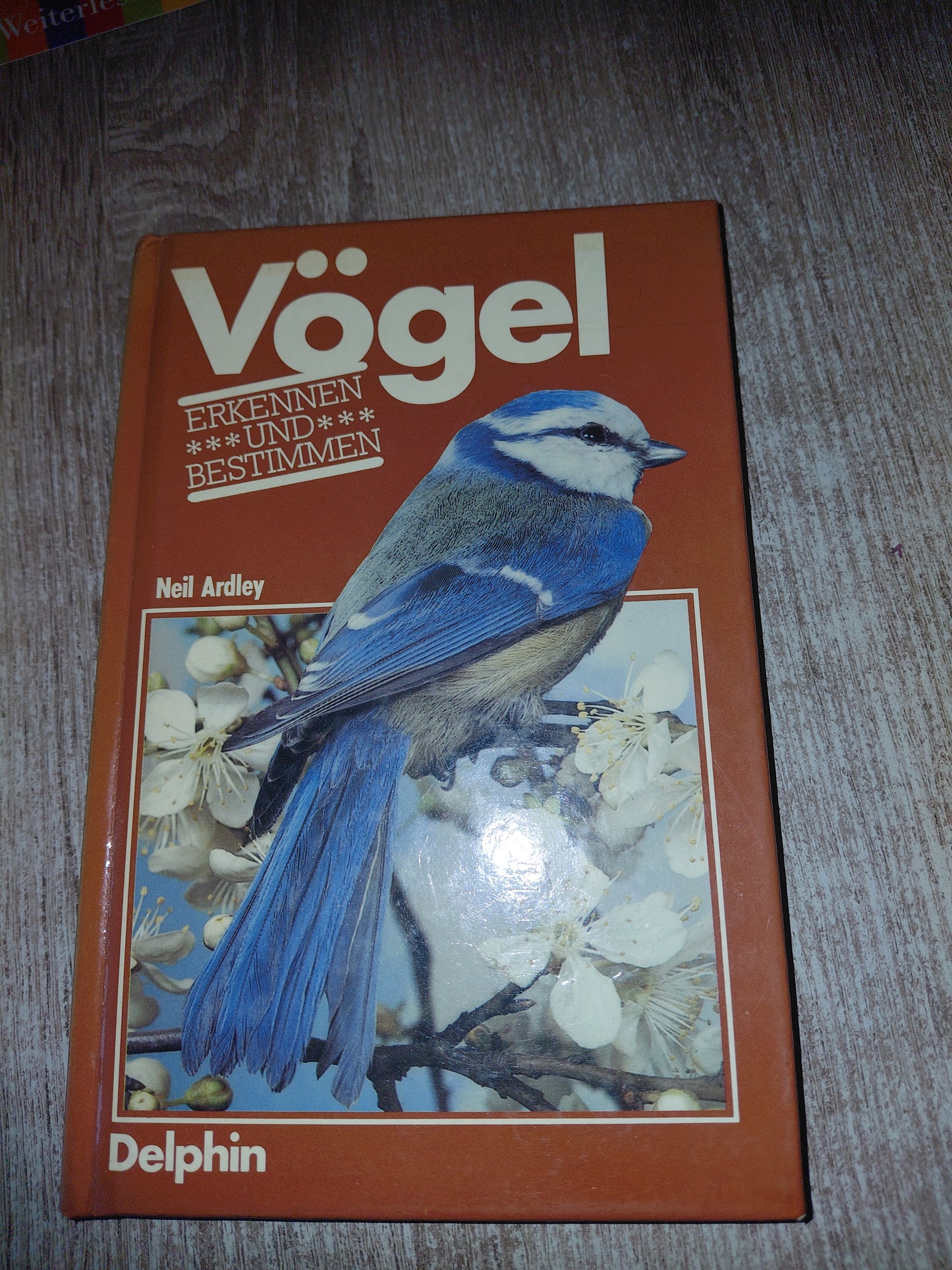 Vögel erkennen und bestimmen von Ardley