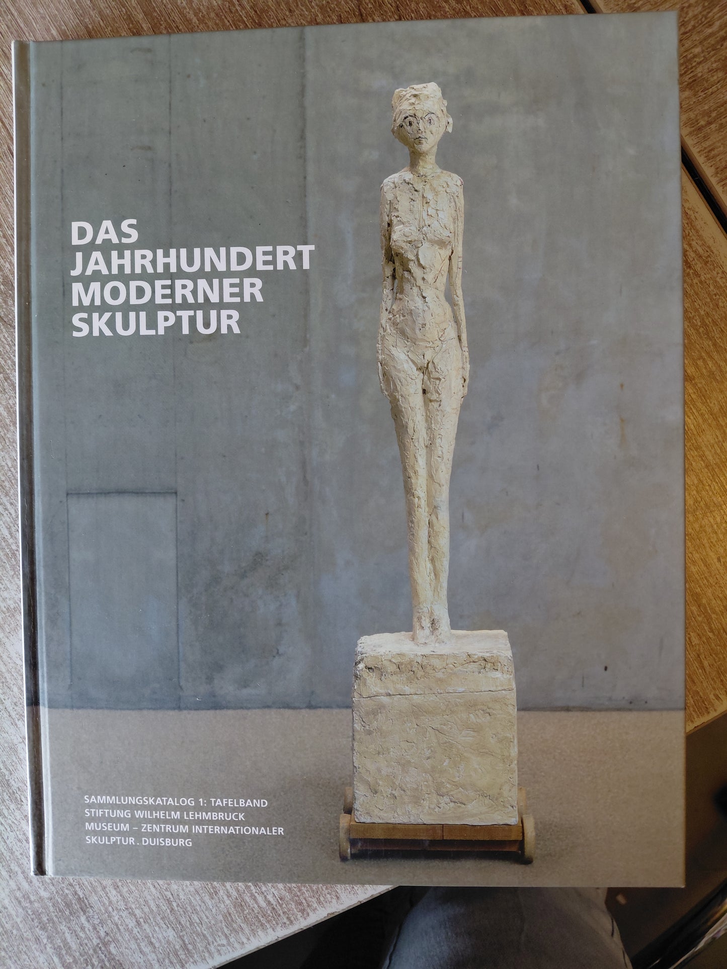 Das Jahrhundert moderner Skulptur Sammlungskatalog 1
