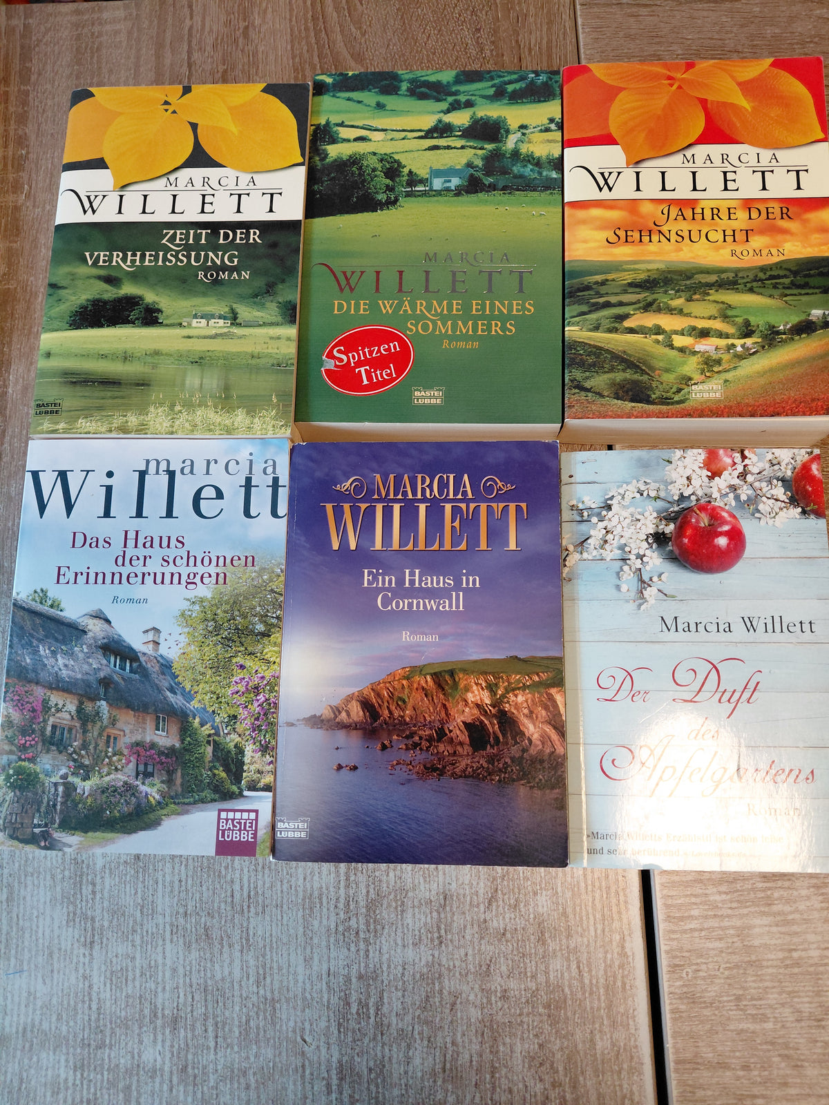 6 Taschenbücher von Marcia Willett